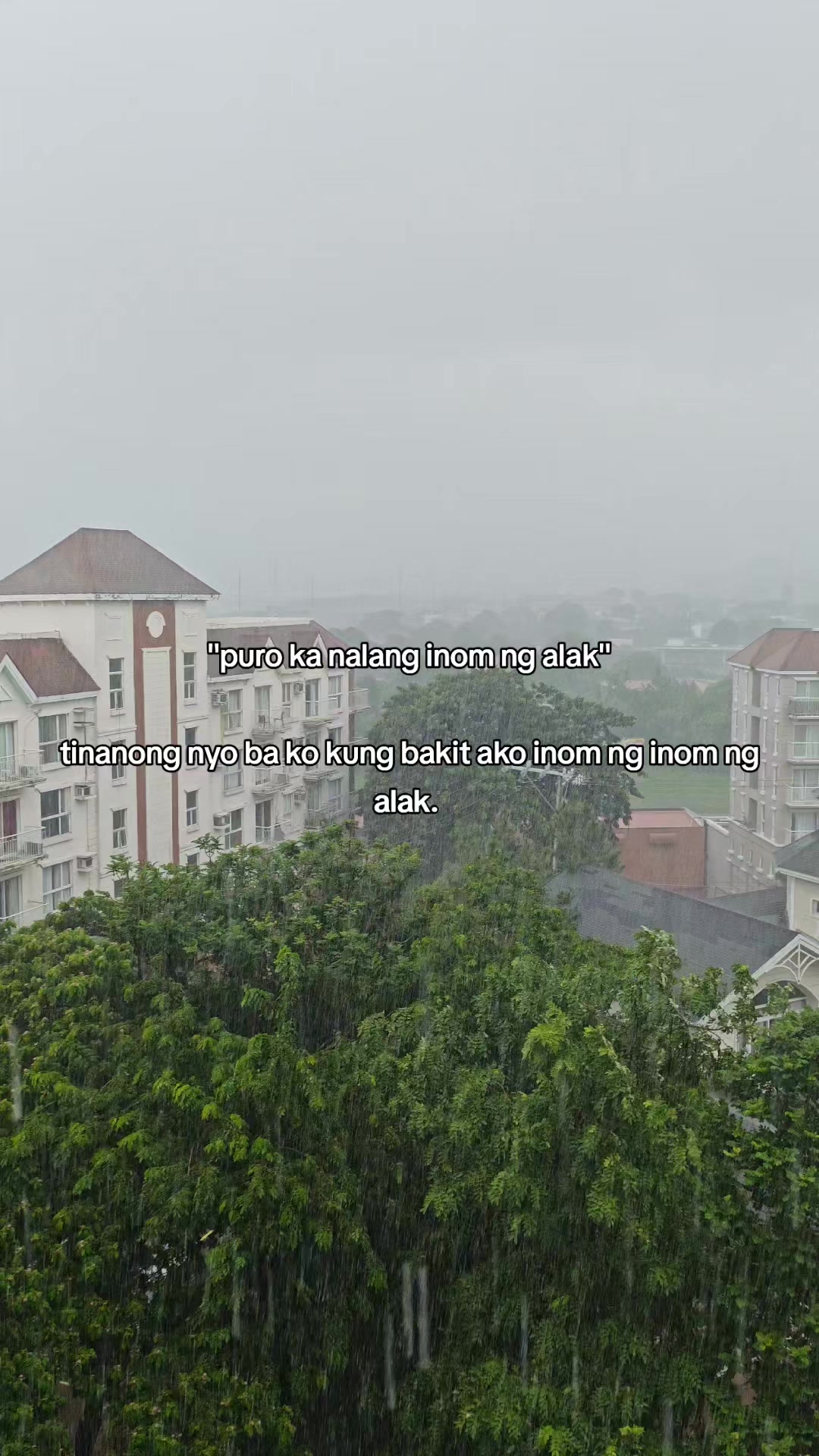 @Maxene Grey❤