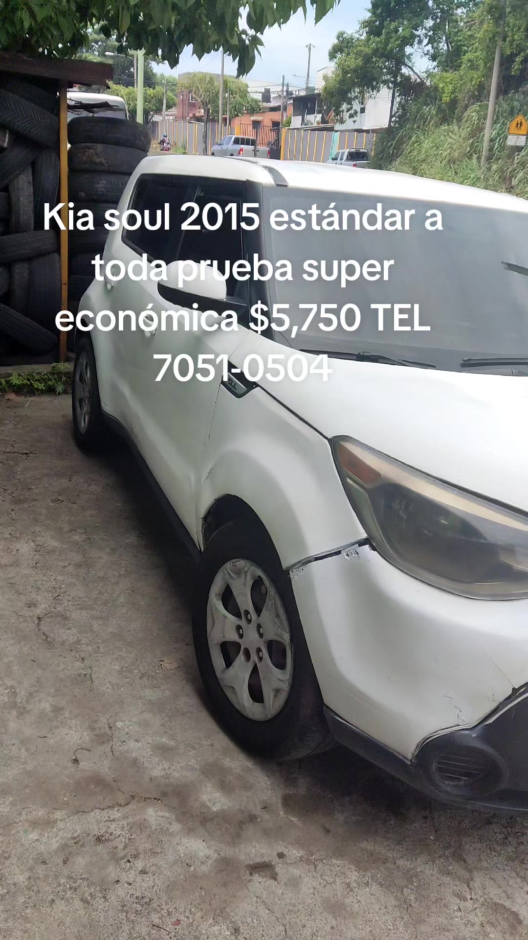 @Kevin Hernández 🇸🇻