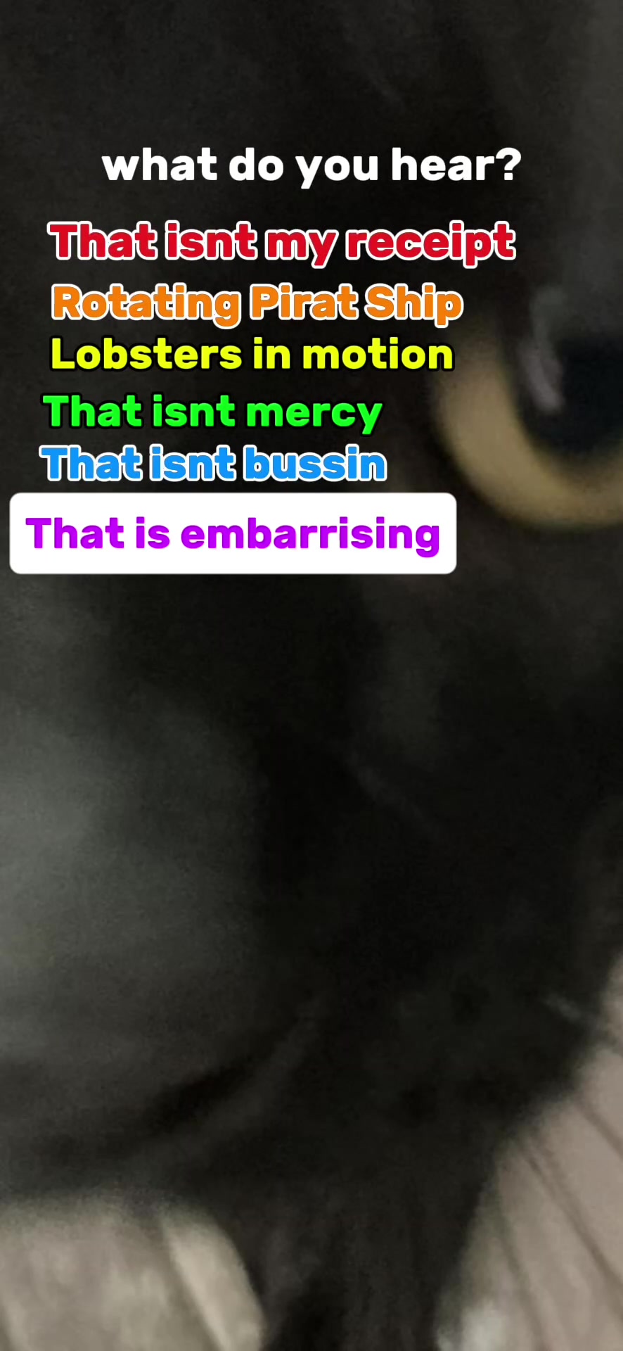 @𝓙𝓪𝓬𝓬𝓬𝓬