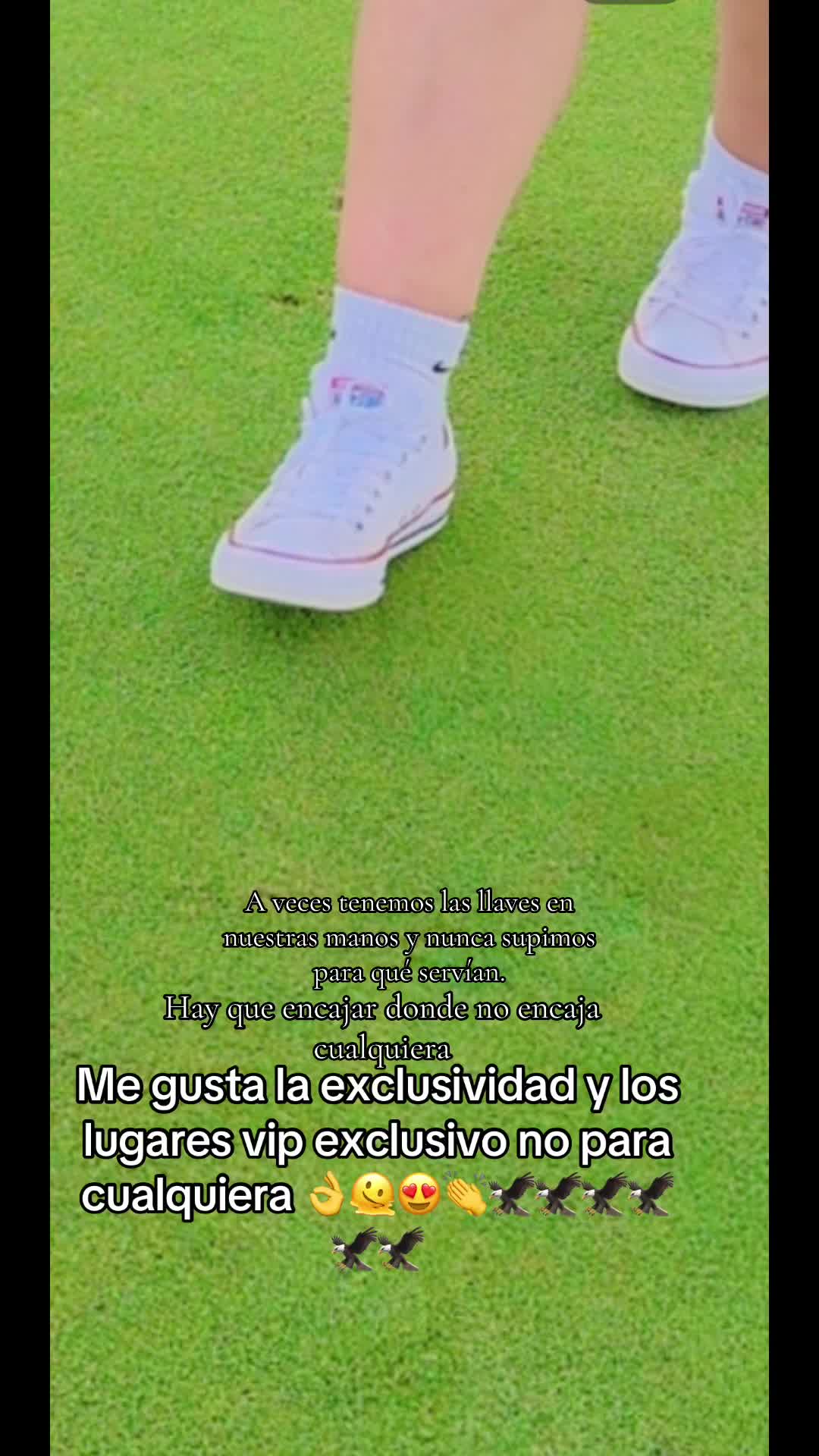 @Michoacanaallyzone