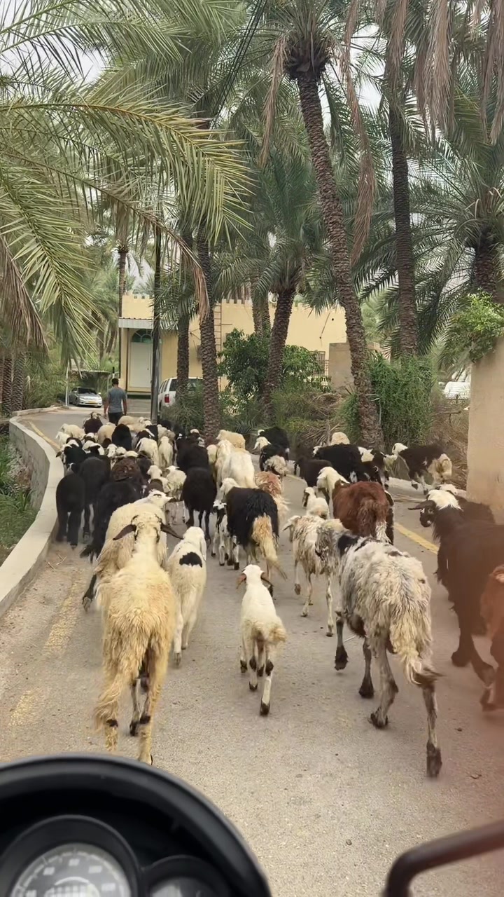 @راشد الخاطري 🇴🇲