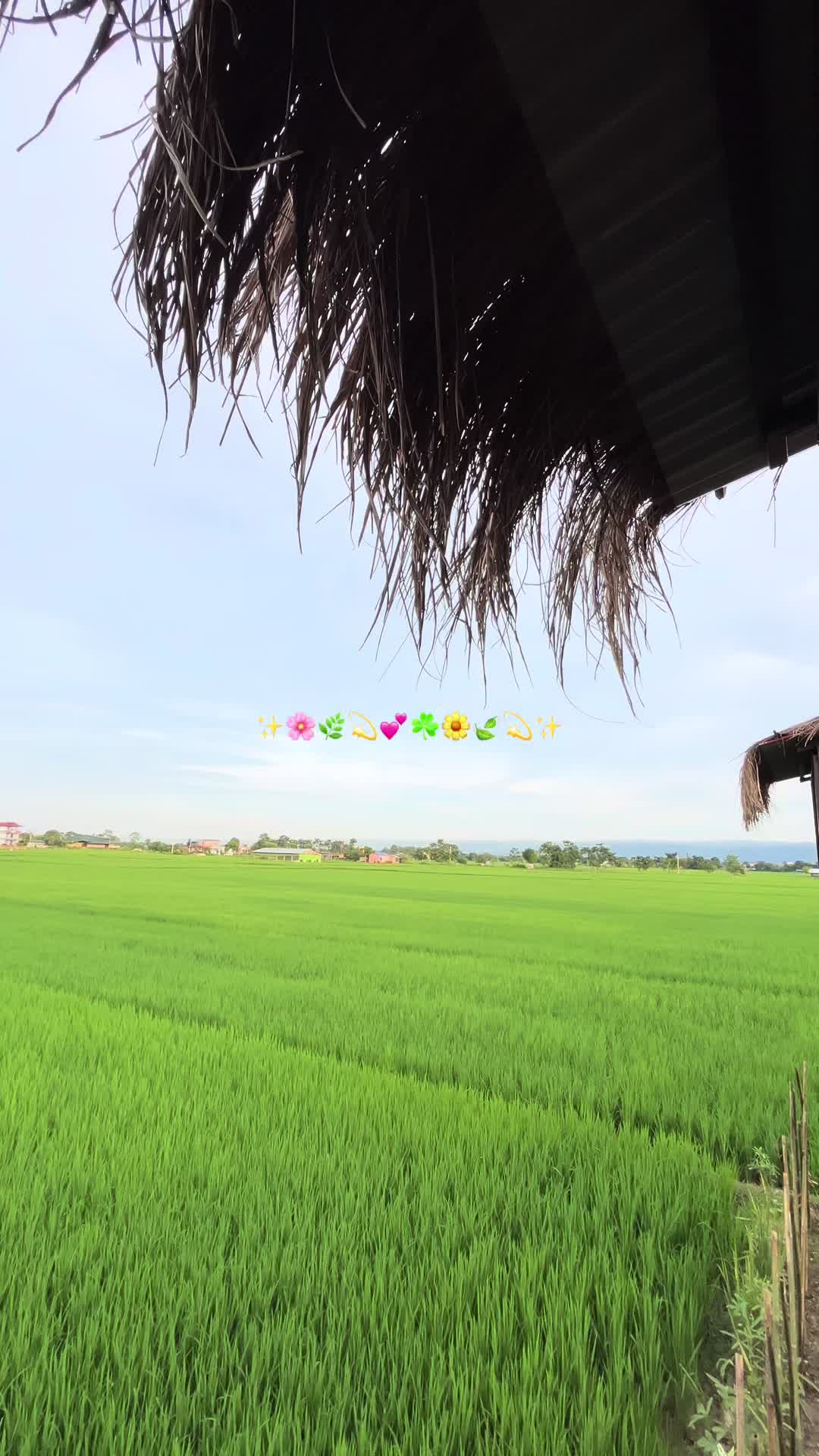 @ShitalParajuli