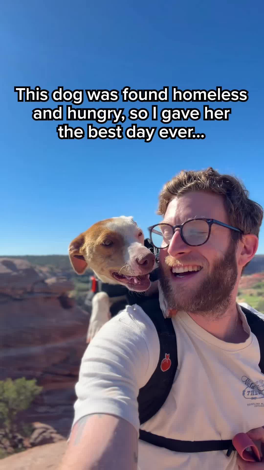 @madmax_fluffyroad