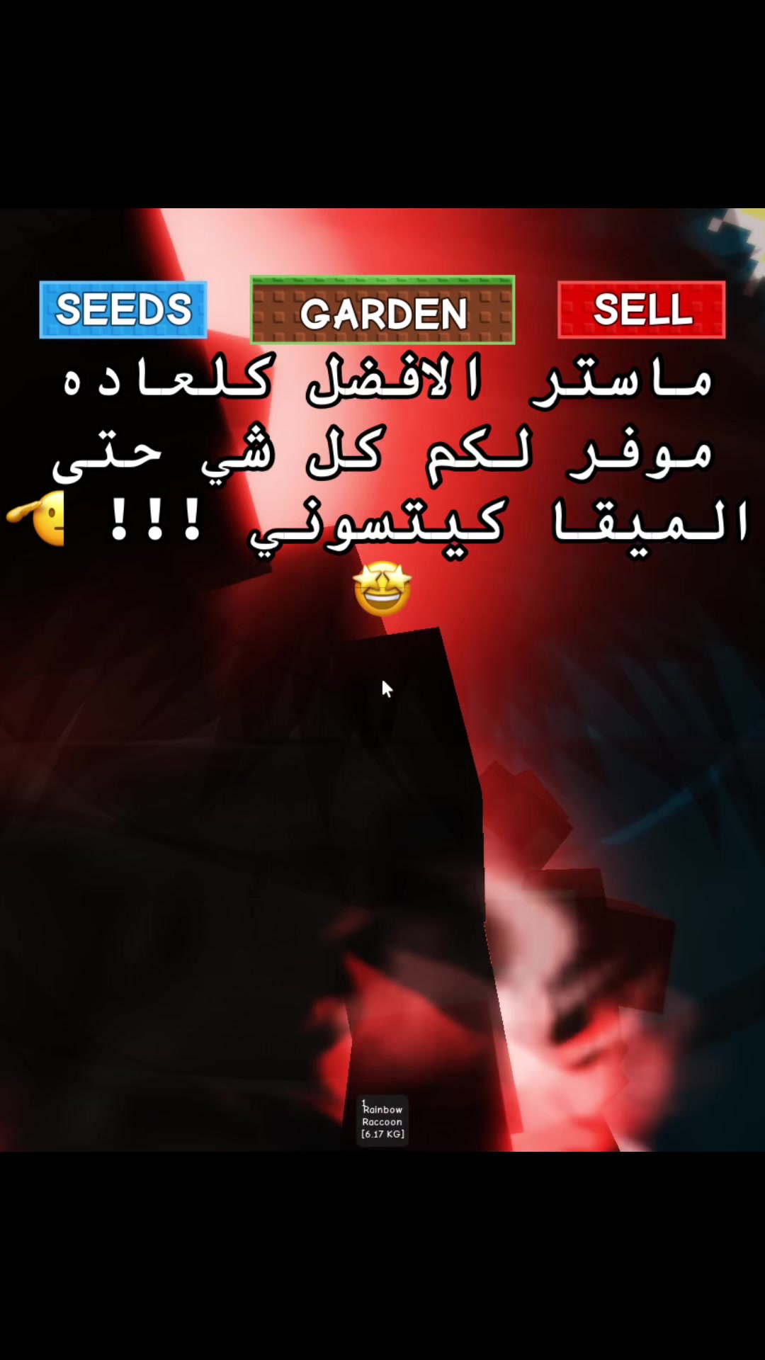 @Zyro