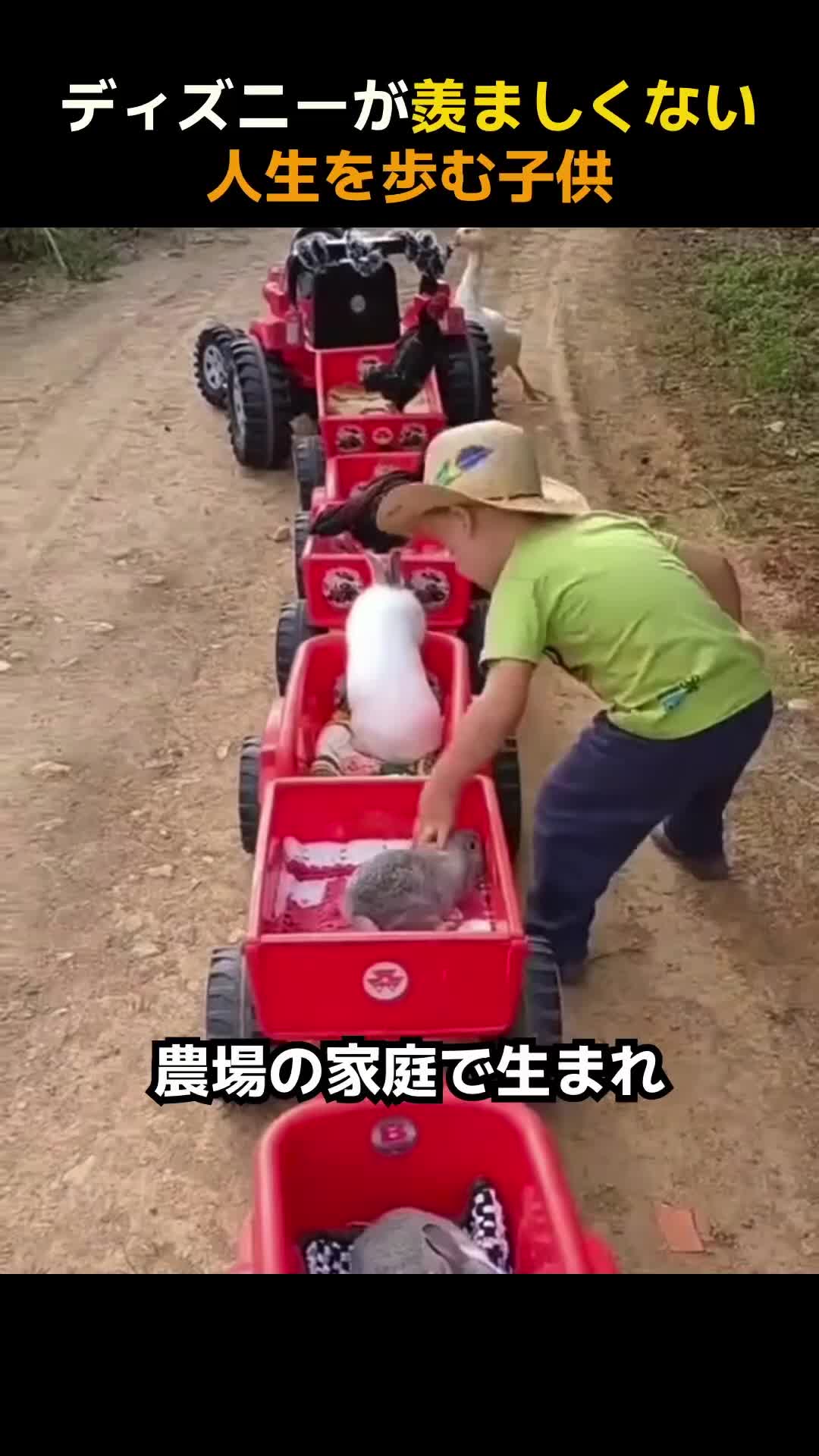 @user8396128005340