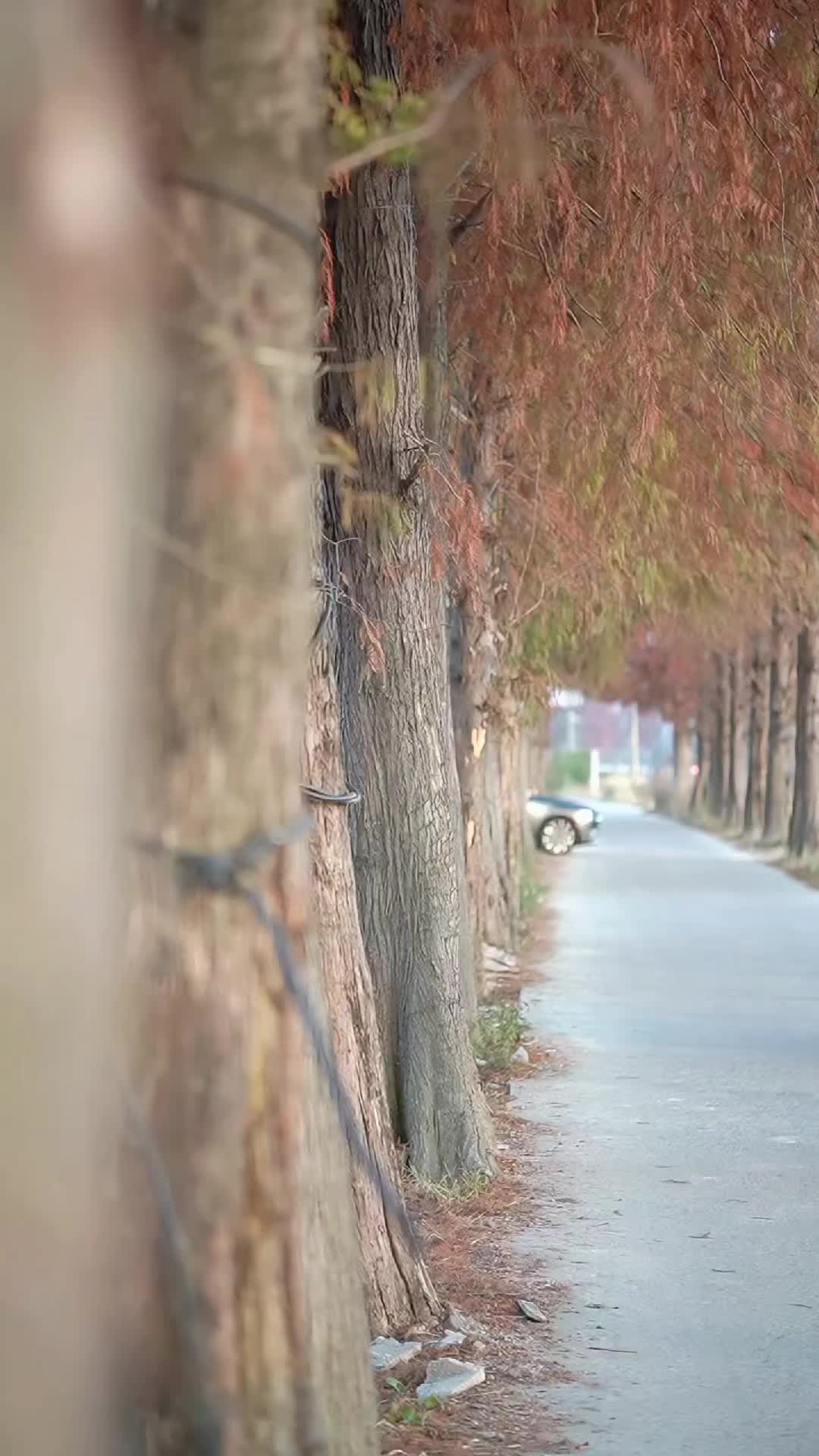 @Just U and Motorbike