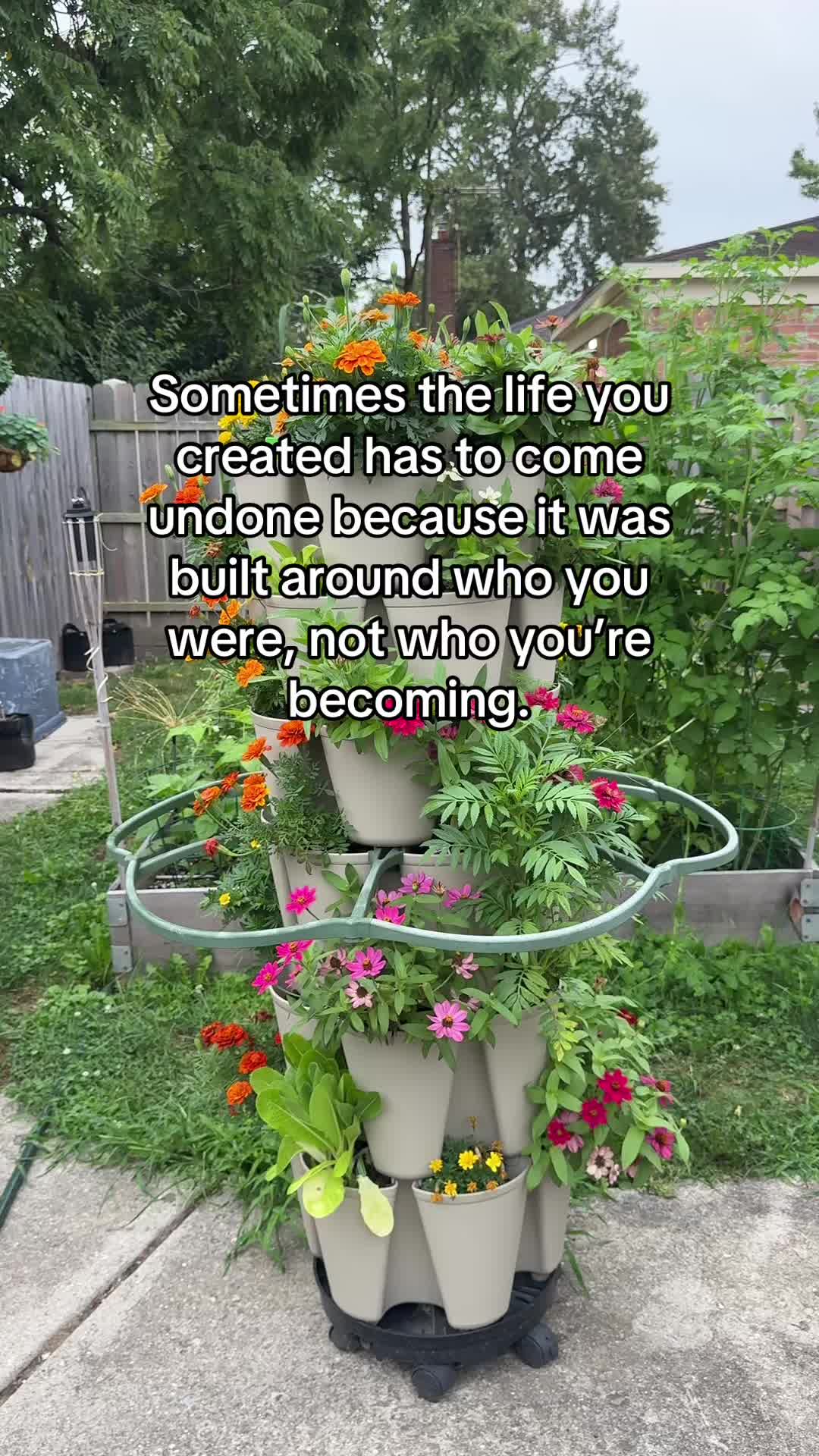 @Socialite Body Essentials
