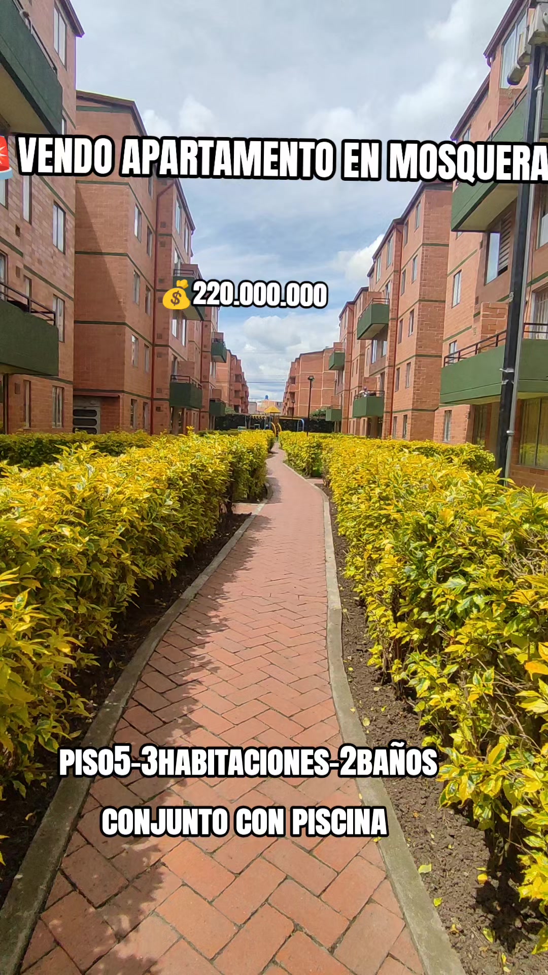 @of gold inmobiliaria