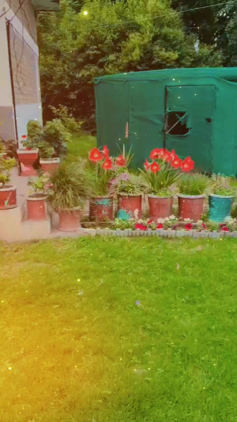 @Waqar khan swati