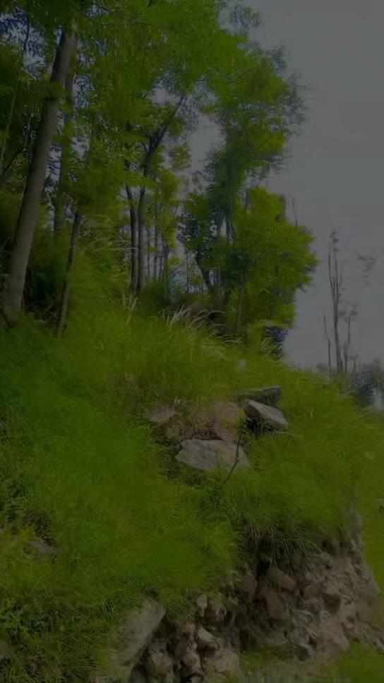 @Ajju Bhai✌️ ▄︻̷̿┻̿═━一🔹
