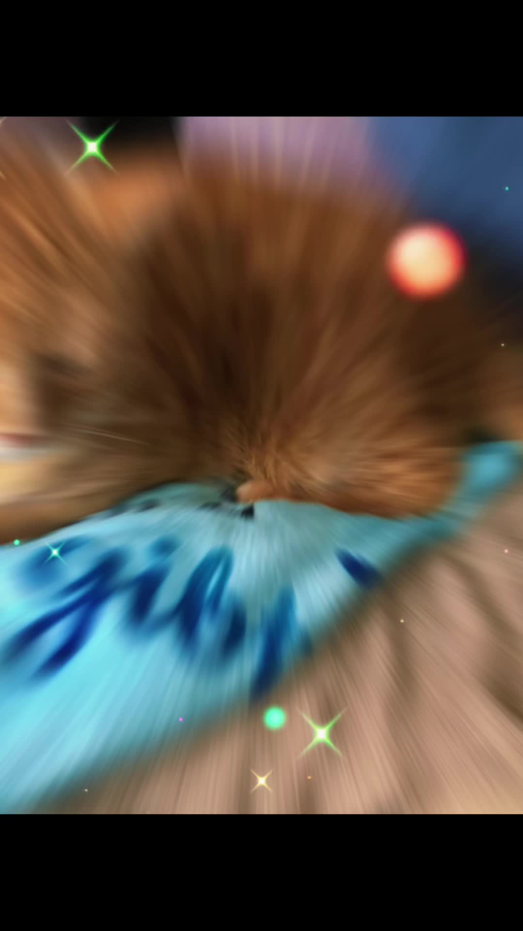 @Cat💙