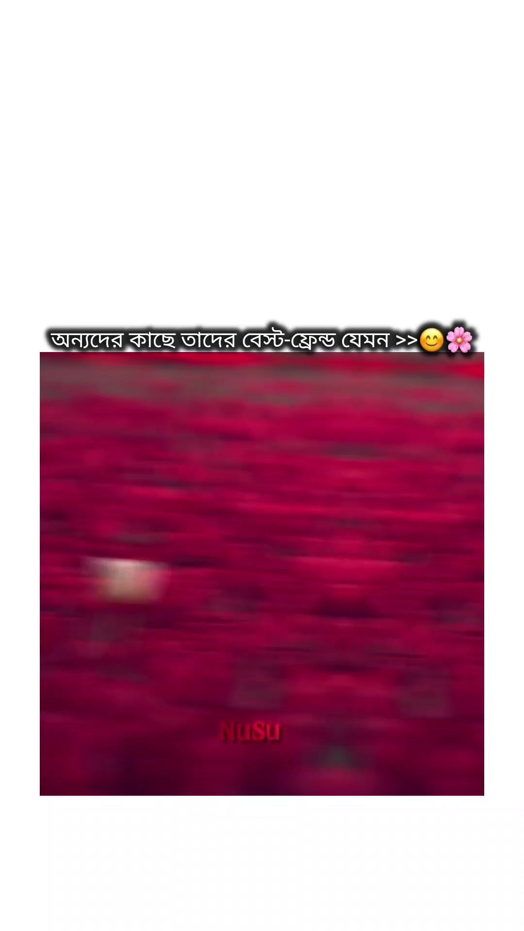 @⏤͟͟͞͞𝙽𝚄𝚂𝚄ᥫ᭡፝֟🕊️