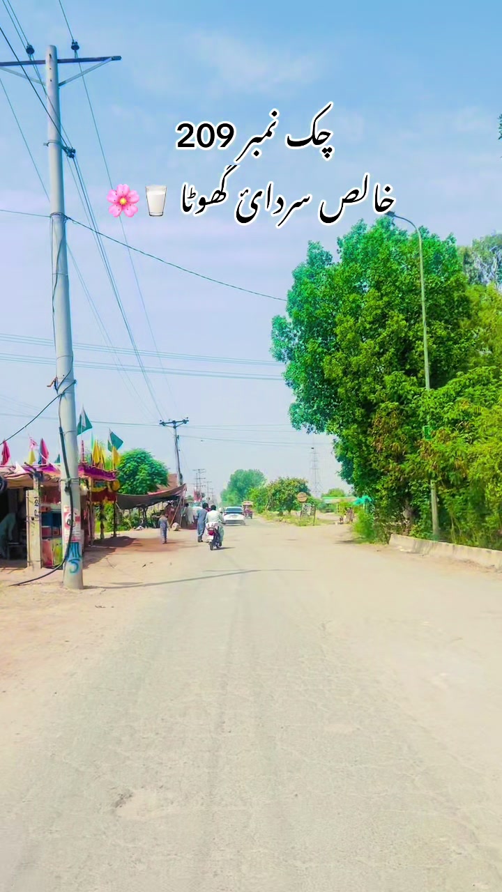 @merapind209