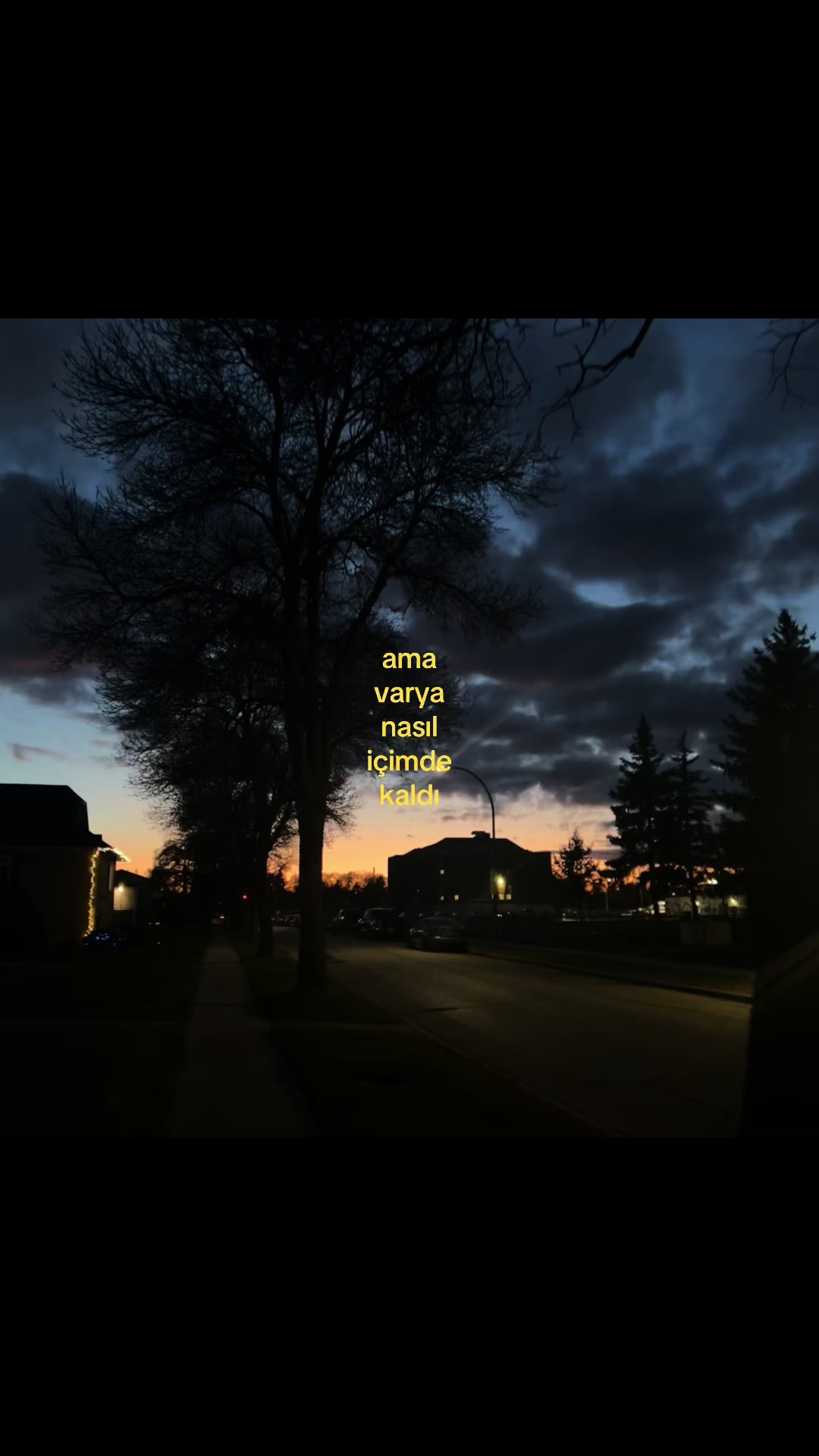 @𝓓.