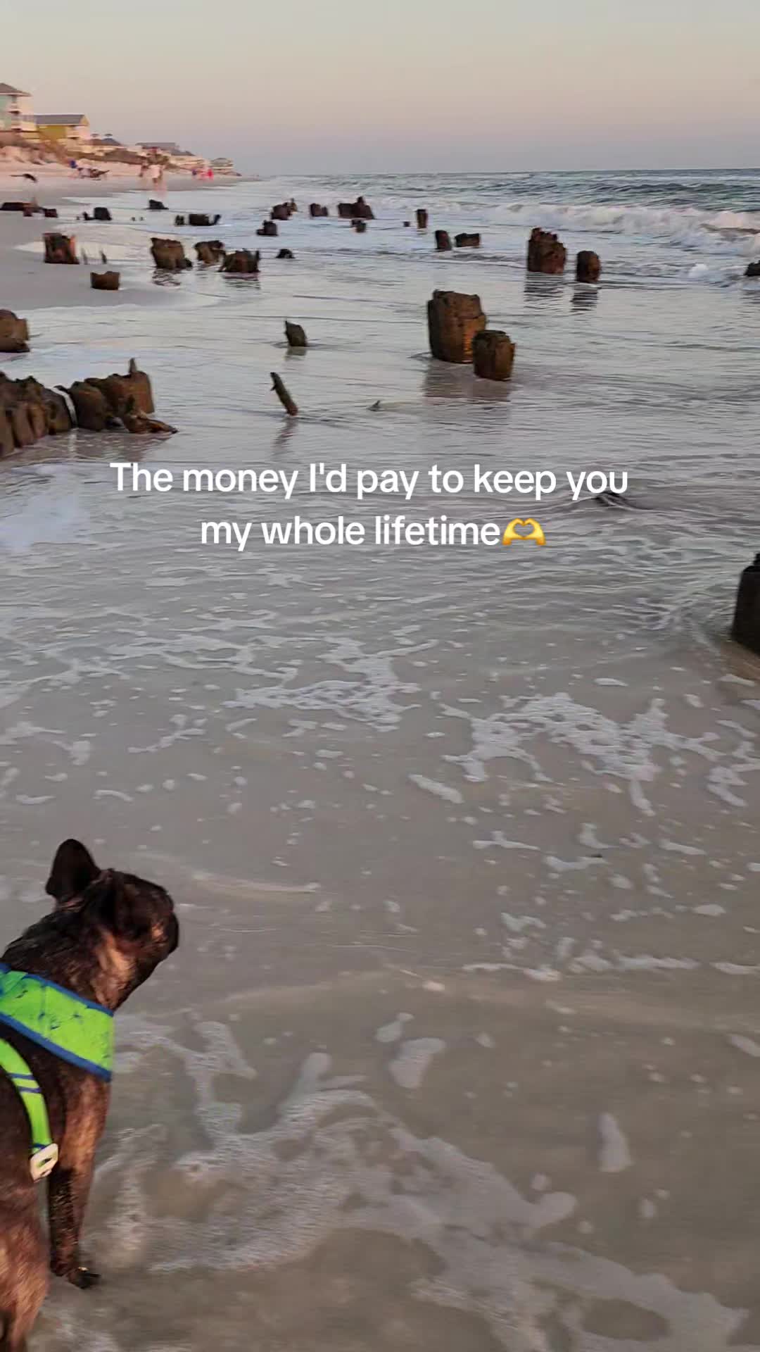 @Jennifer