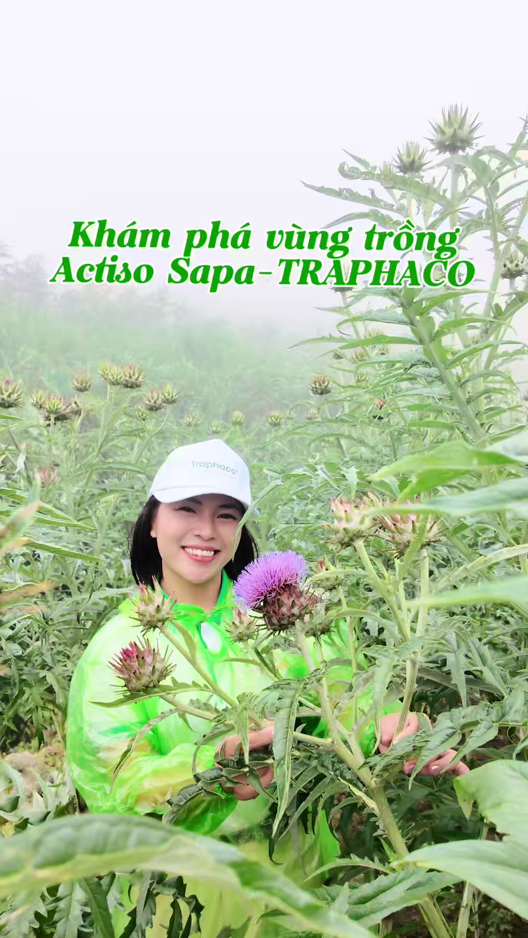 @Gia Đ&igrave;nh M&egrave;o M&aacute;y