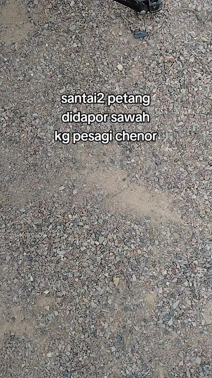 @@renyut78