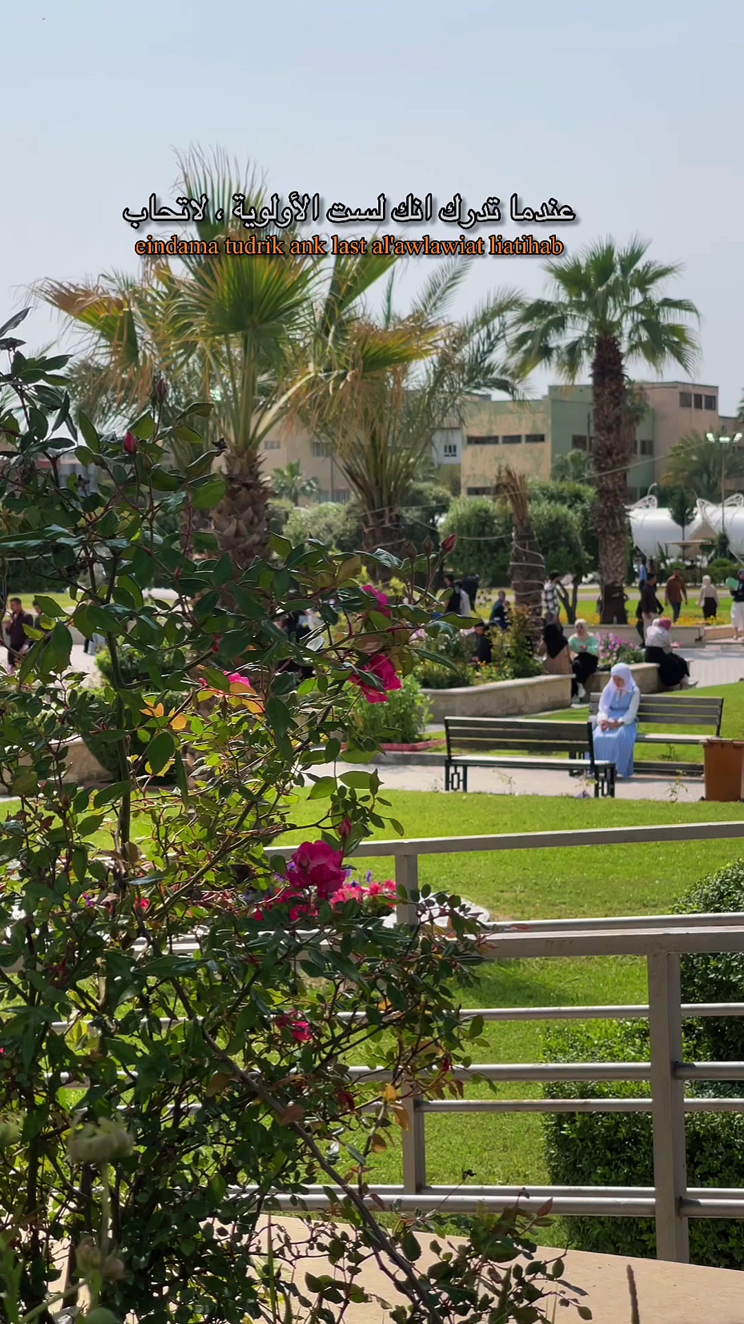 @جامعه الموصل