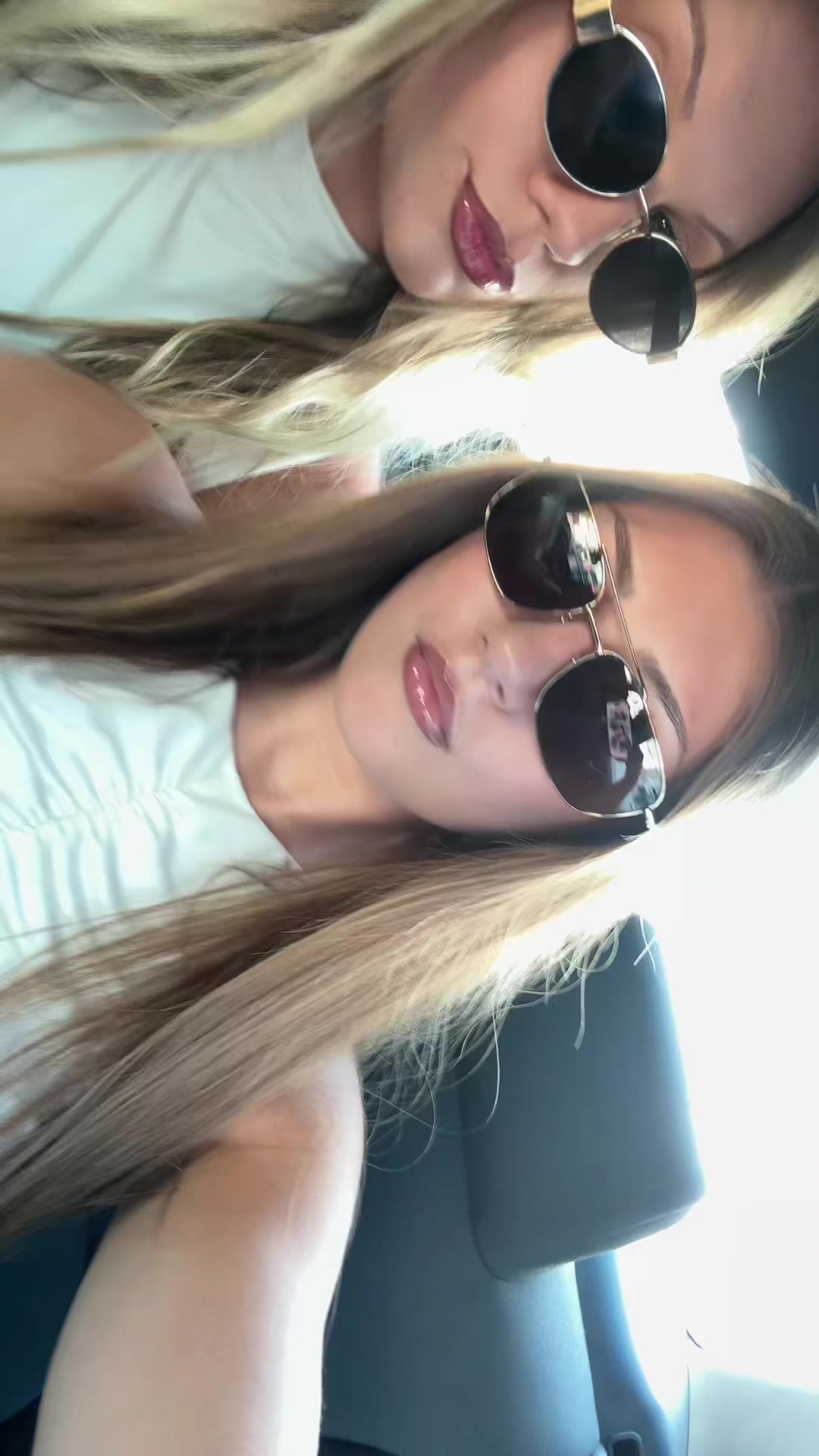 @gabby dalfonso