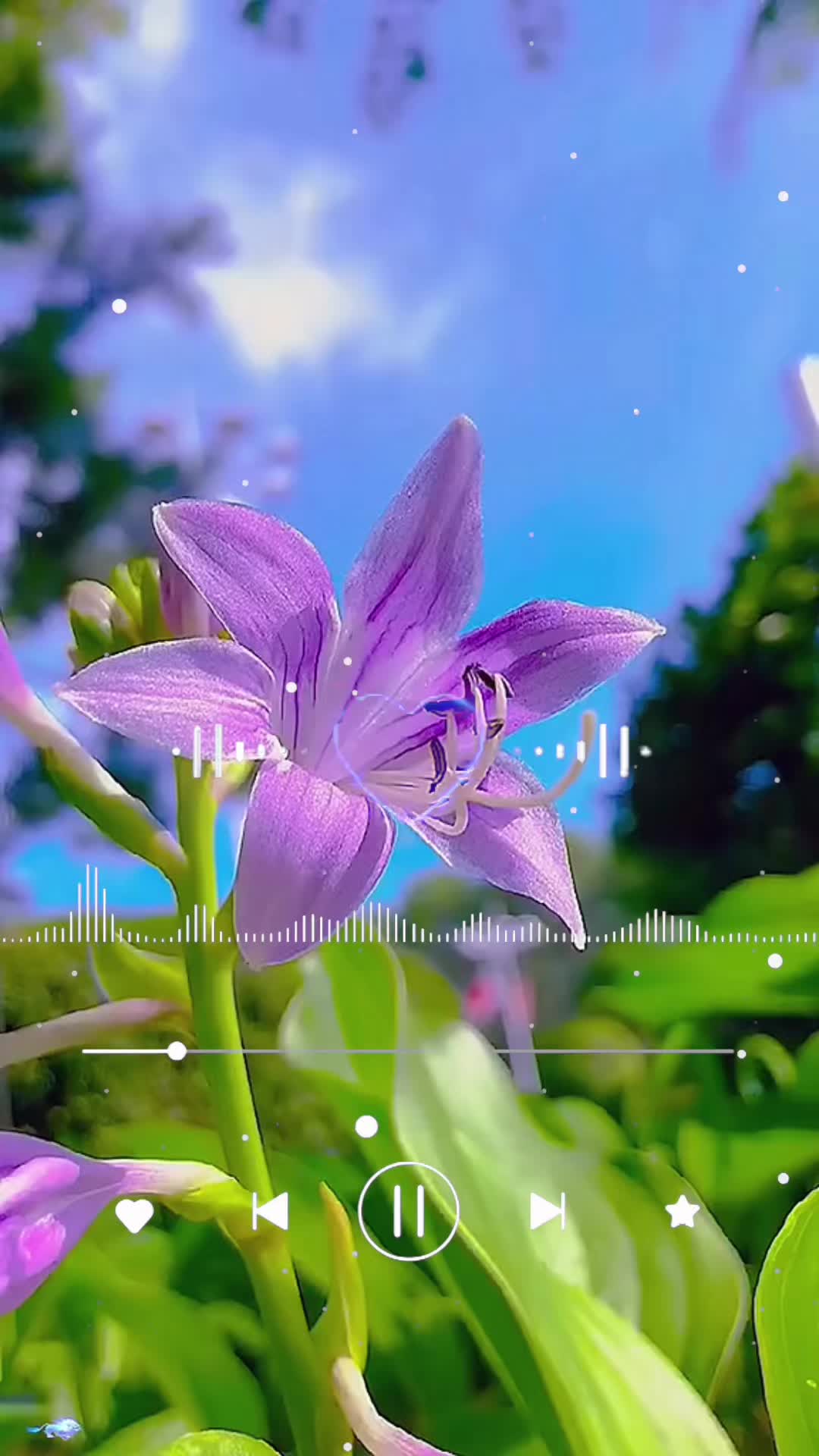 @Lily