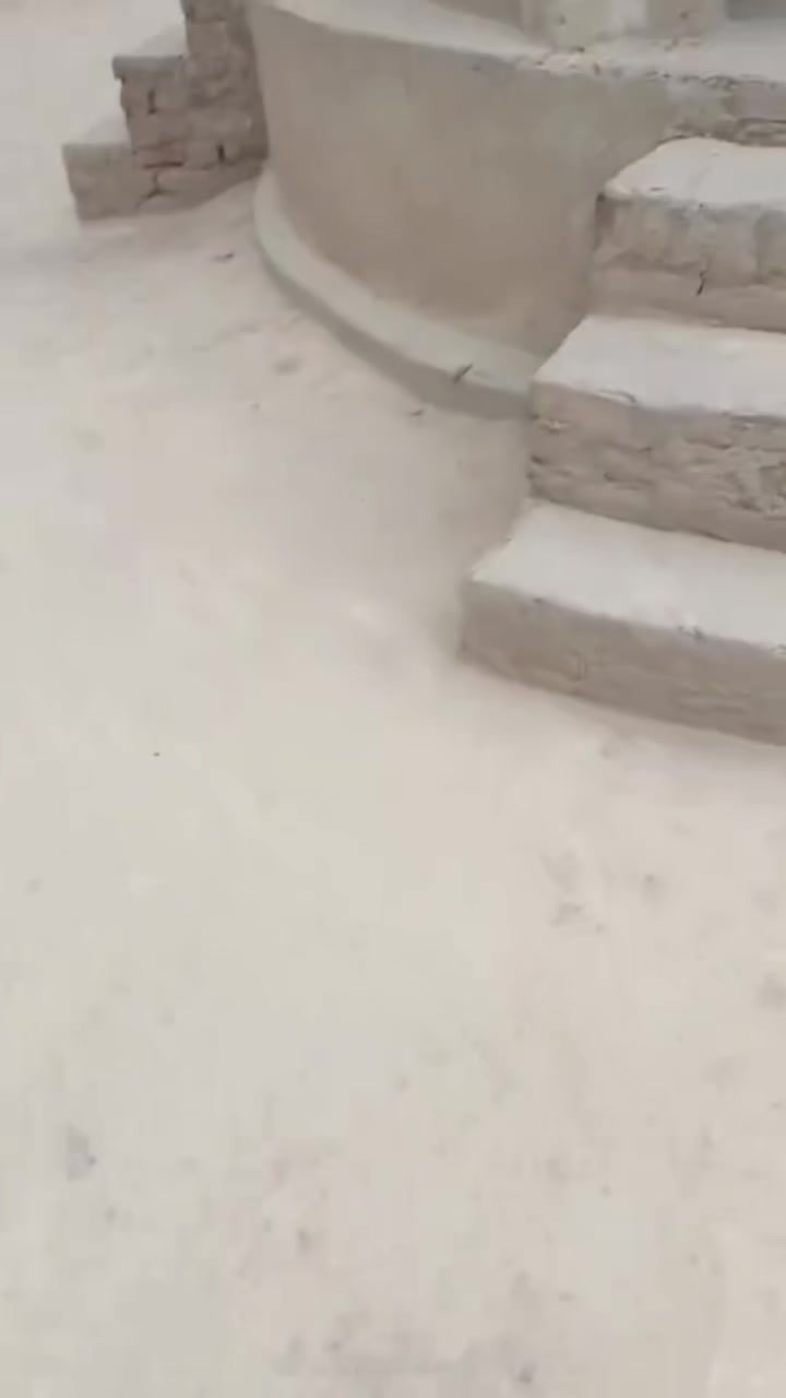 @Malik.Umar.Sab