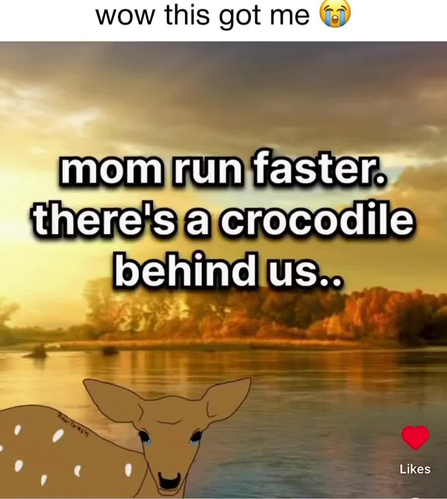 @boopski3147
