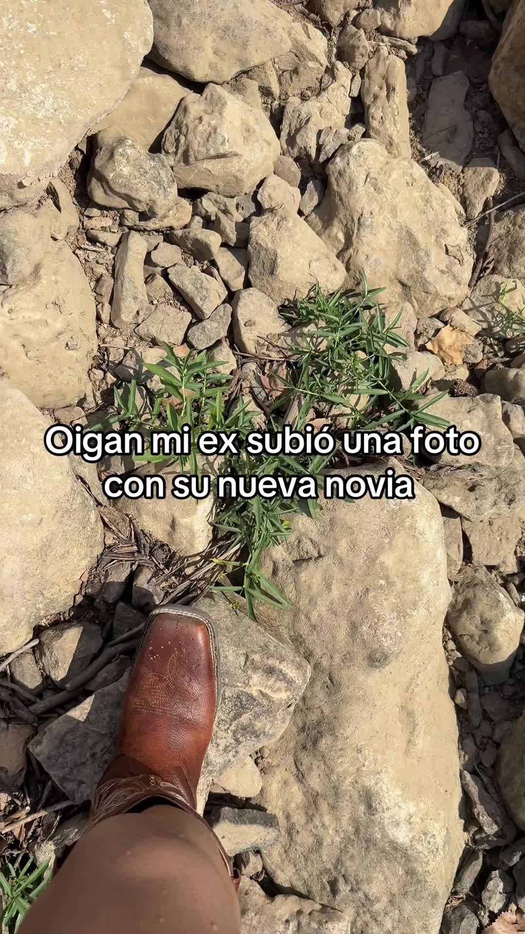 @Yulis C 🤍🕊️