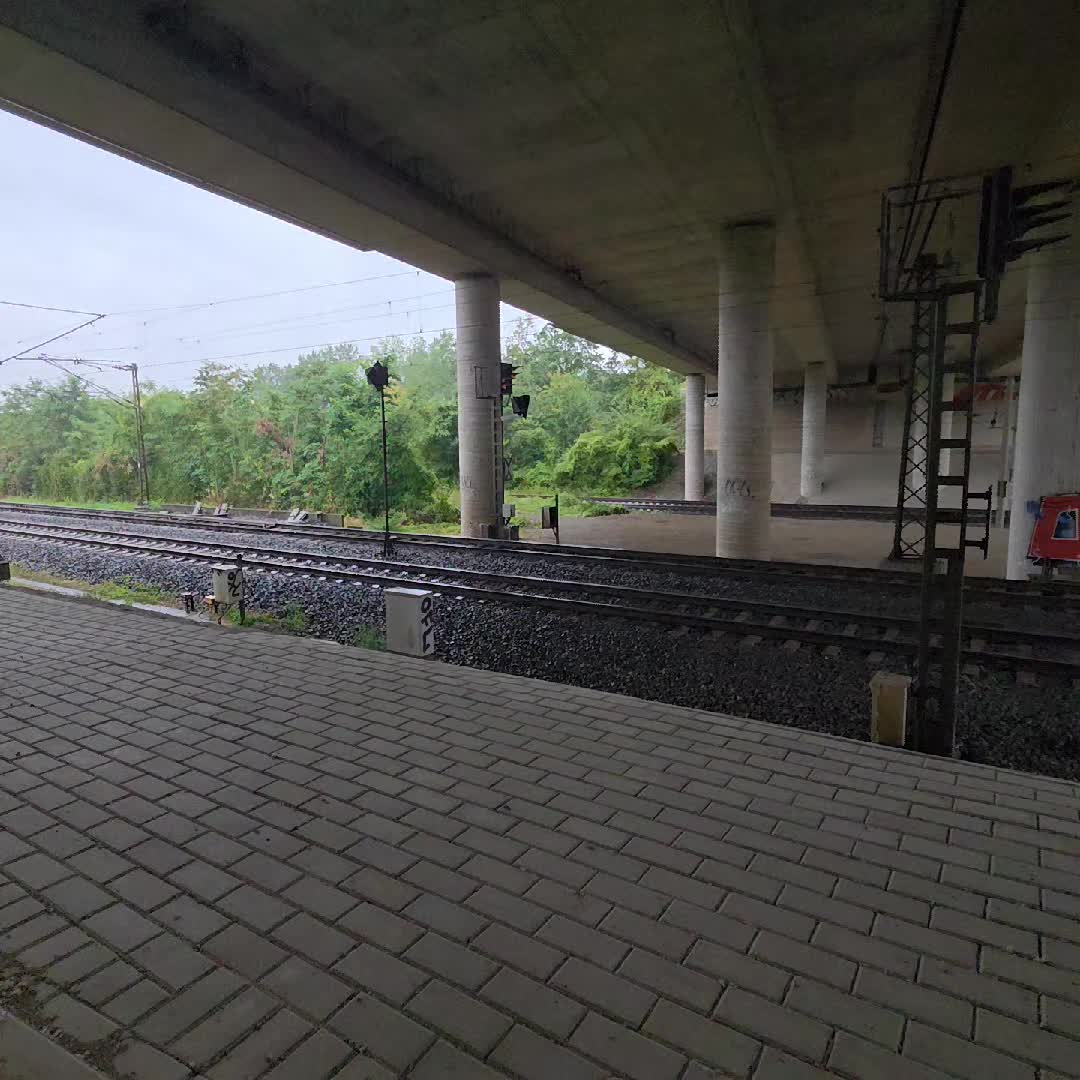 @Elmo_Auf_Europatour