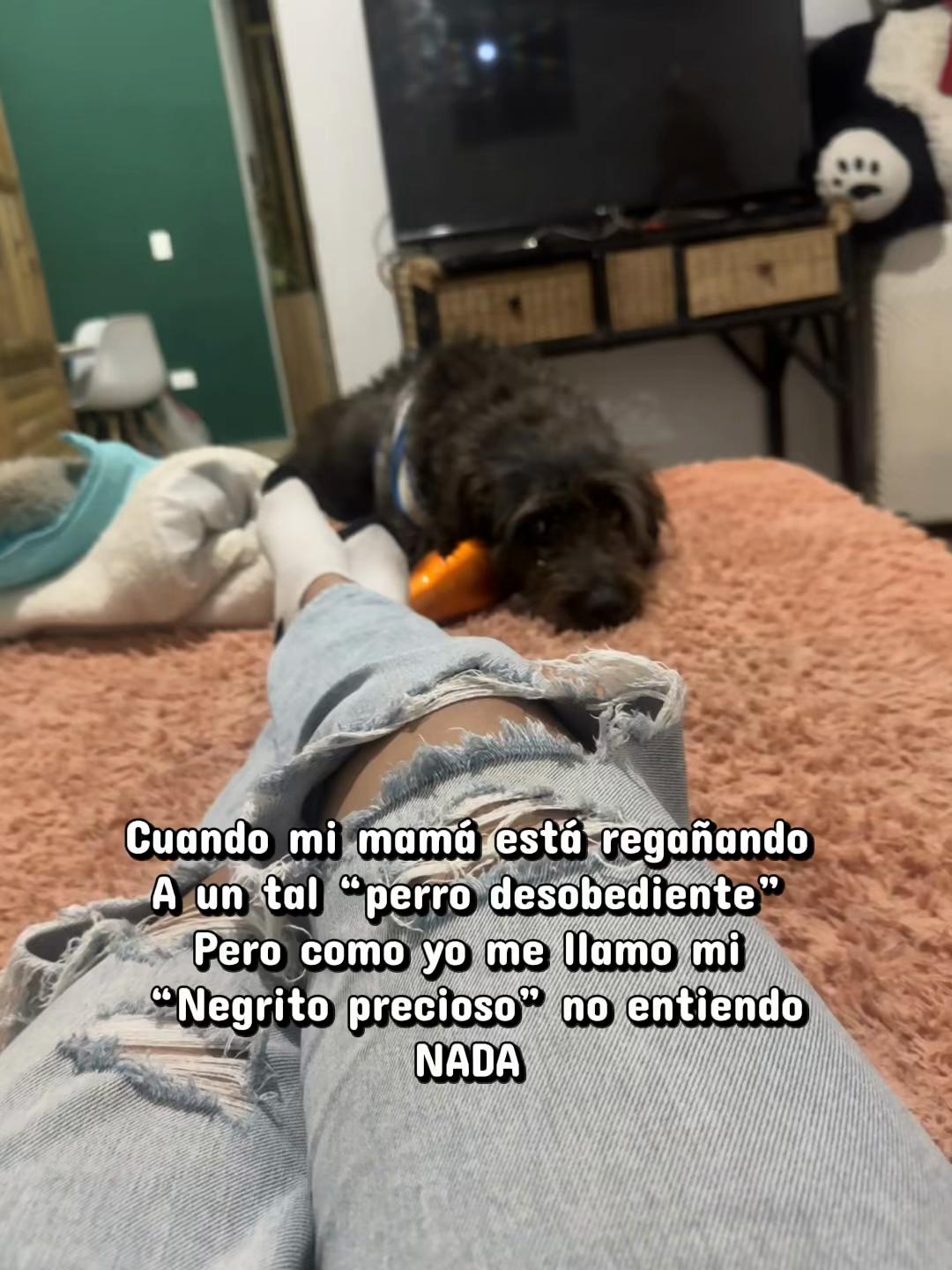 @Tefi Díaz ✨