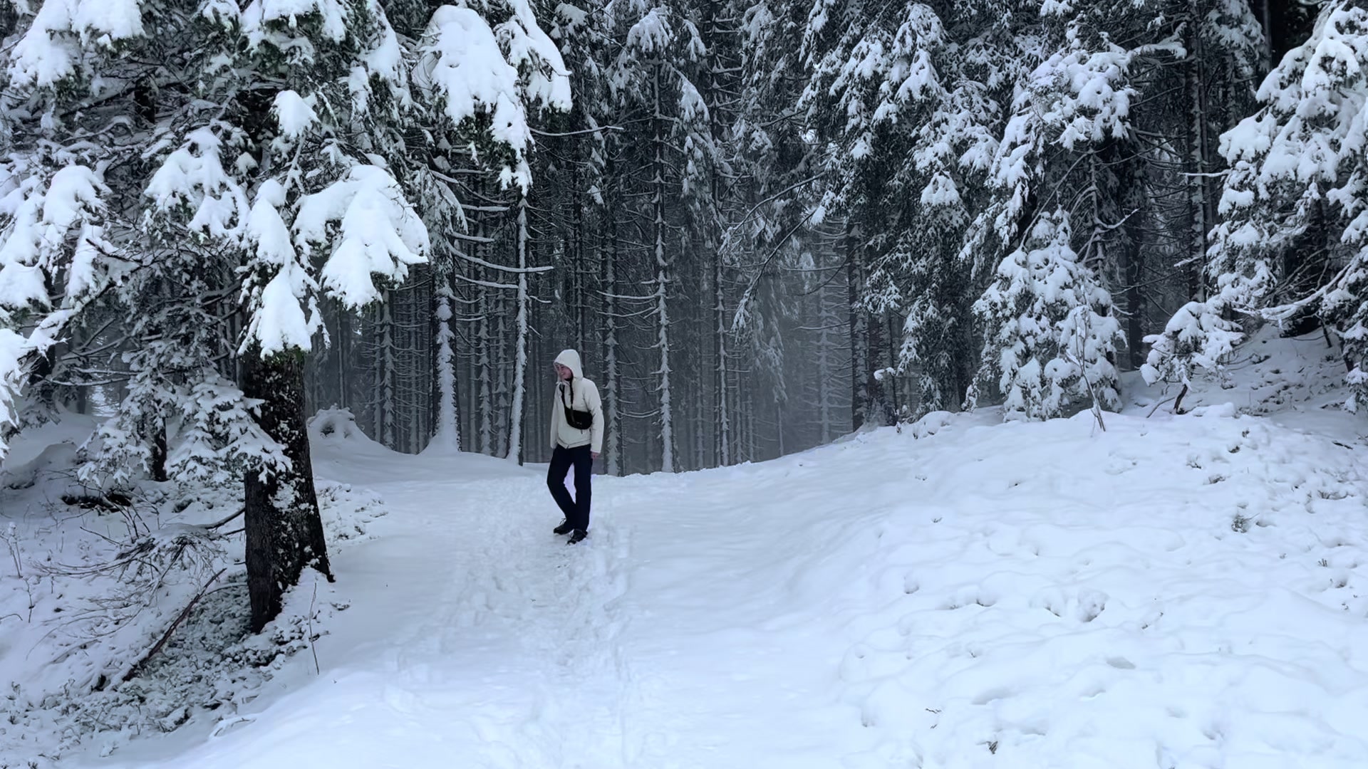 @lena.brdlr
