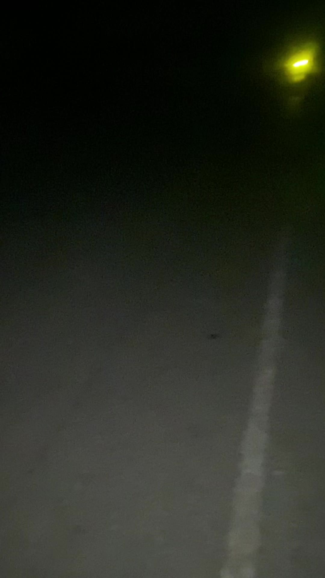 @geco🦎👽