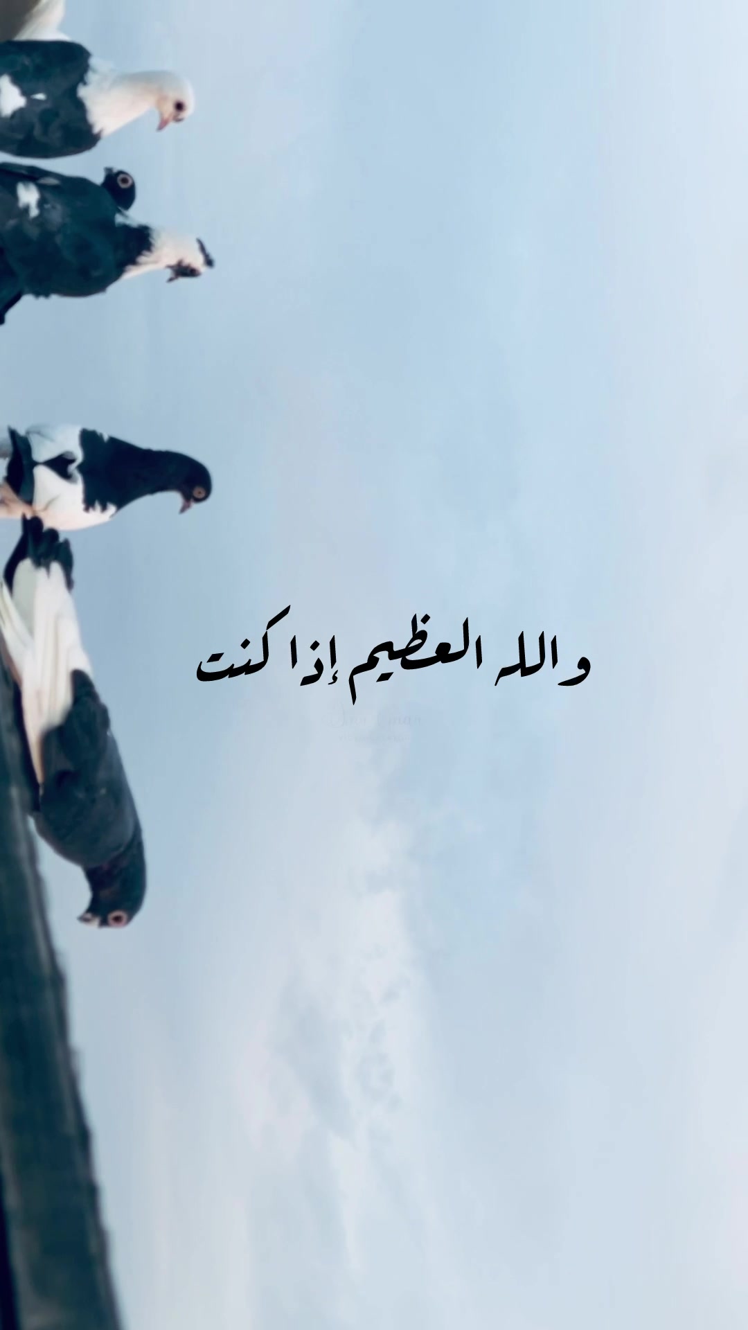 @﮼عمرو﮼عمر🕊️