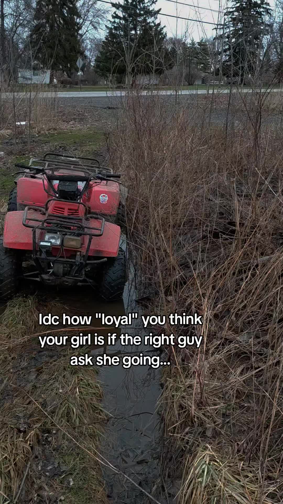 @Mudman