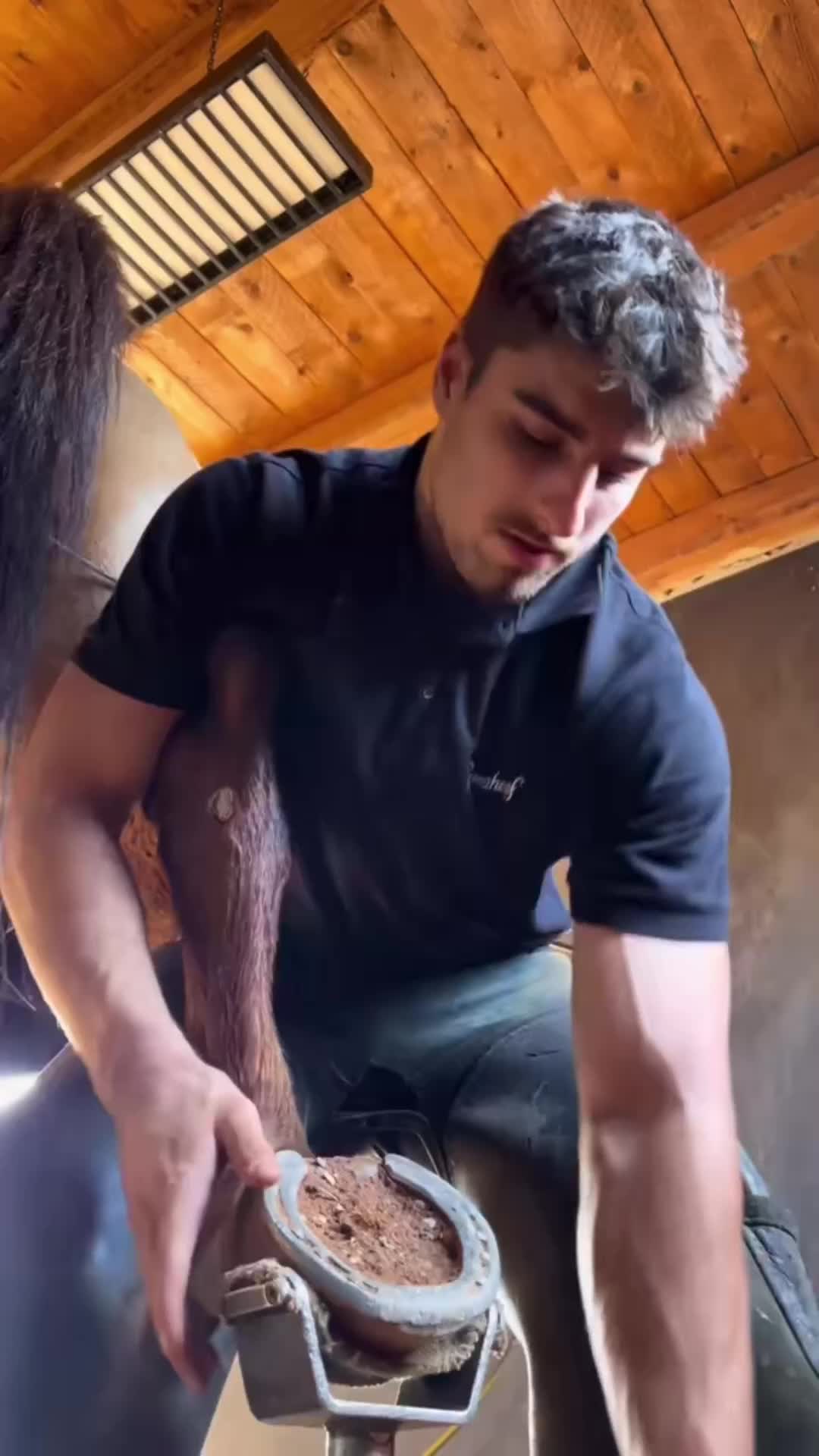 @cowhoof3