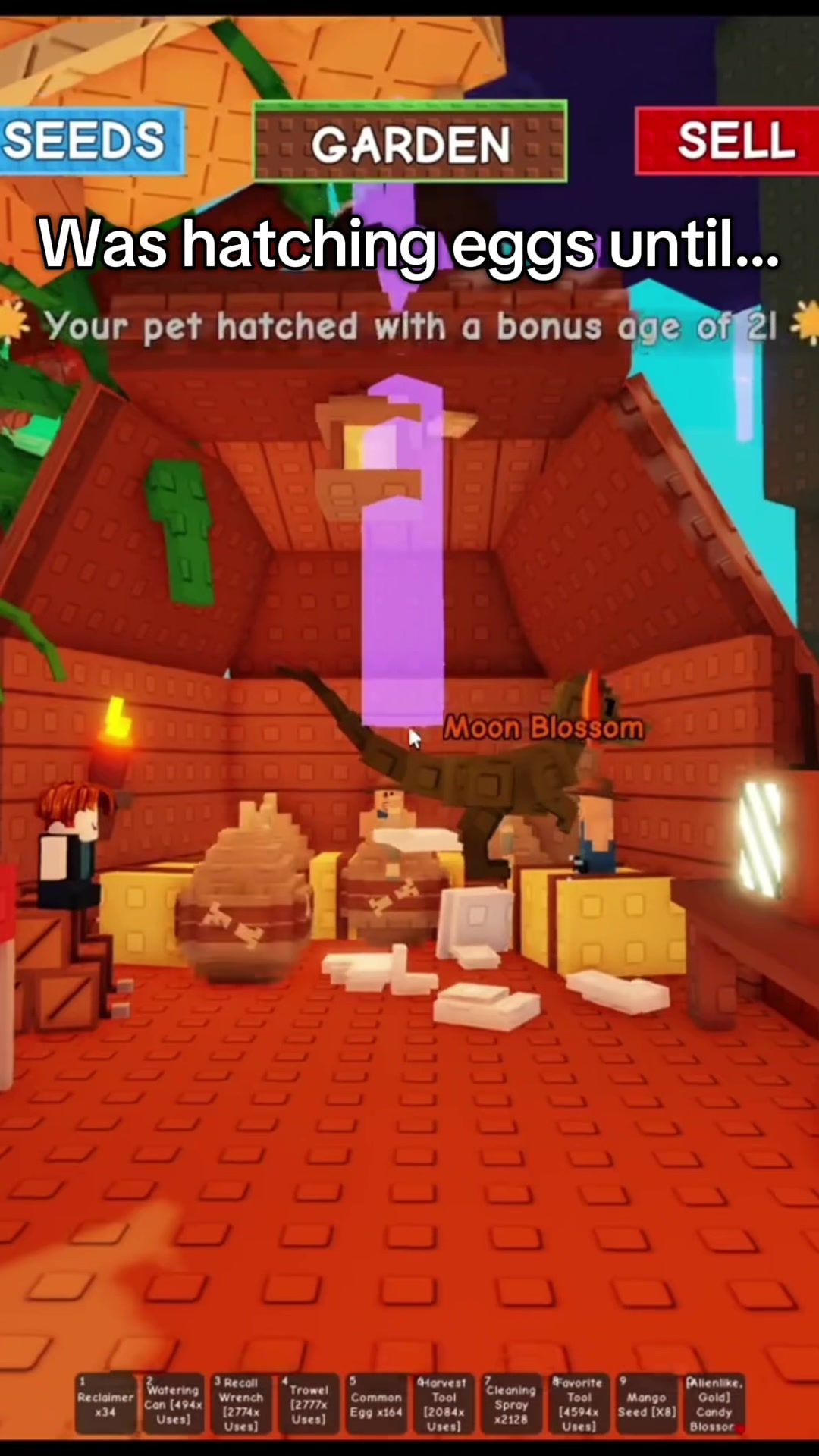 @bbbasil