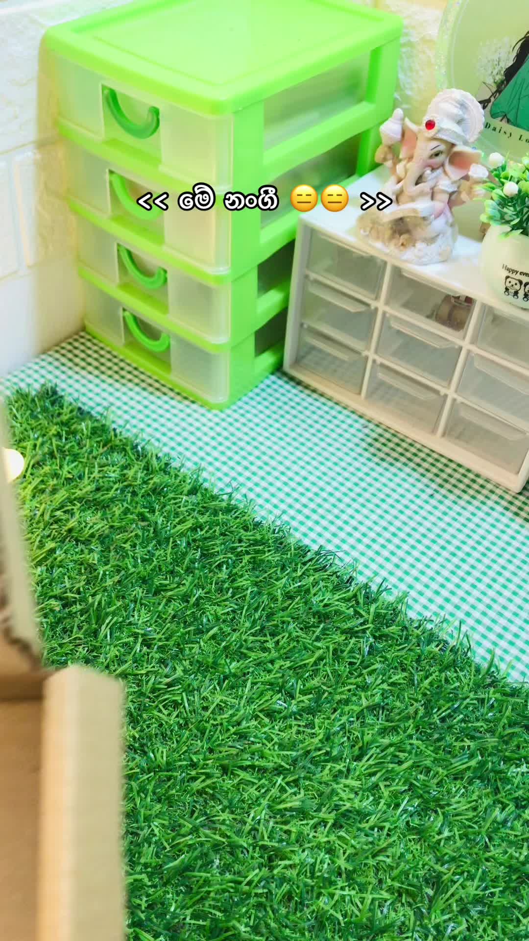 @Greengirl