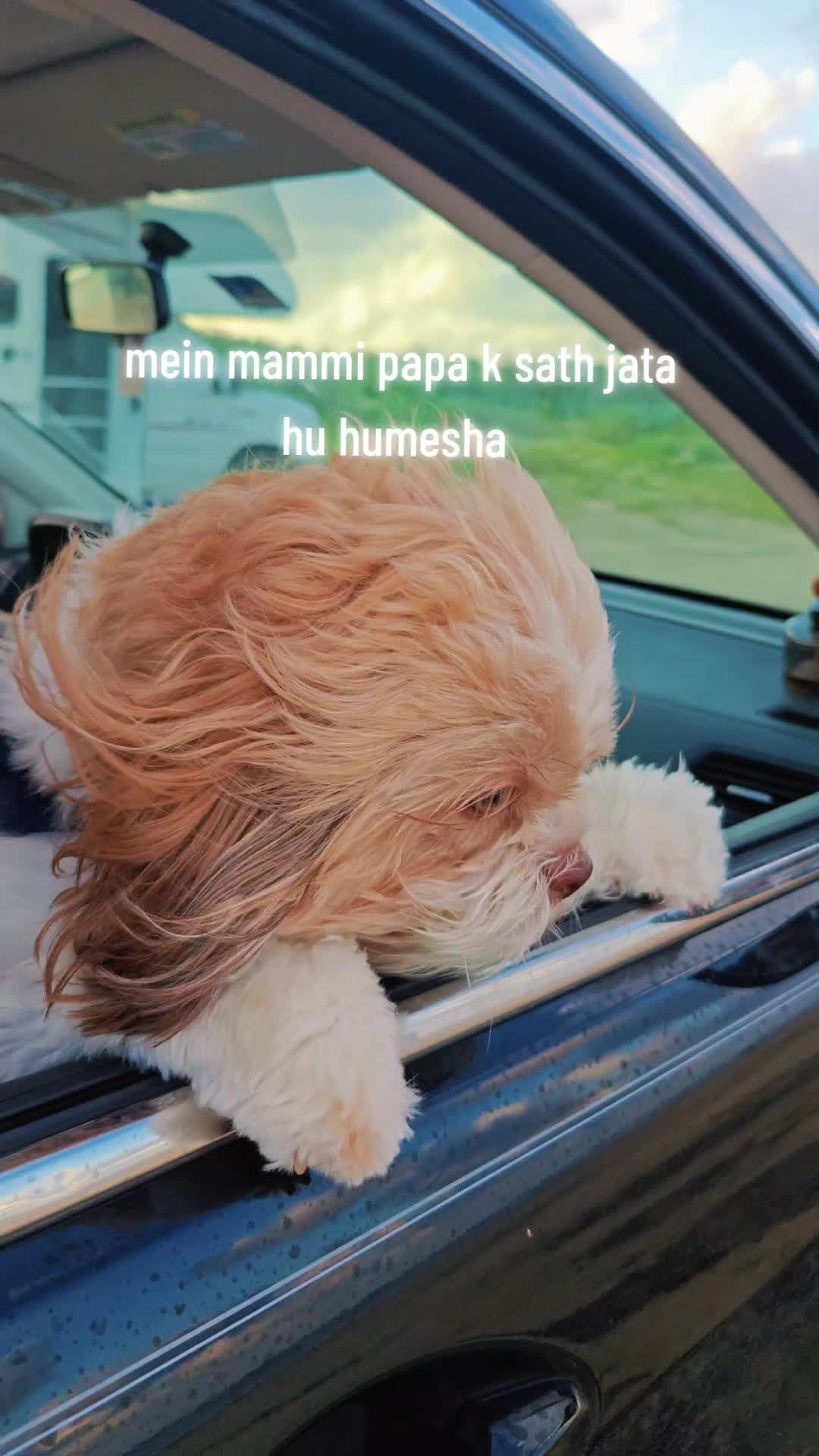 @Priyanka Aggarwal