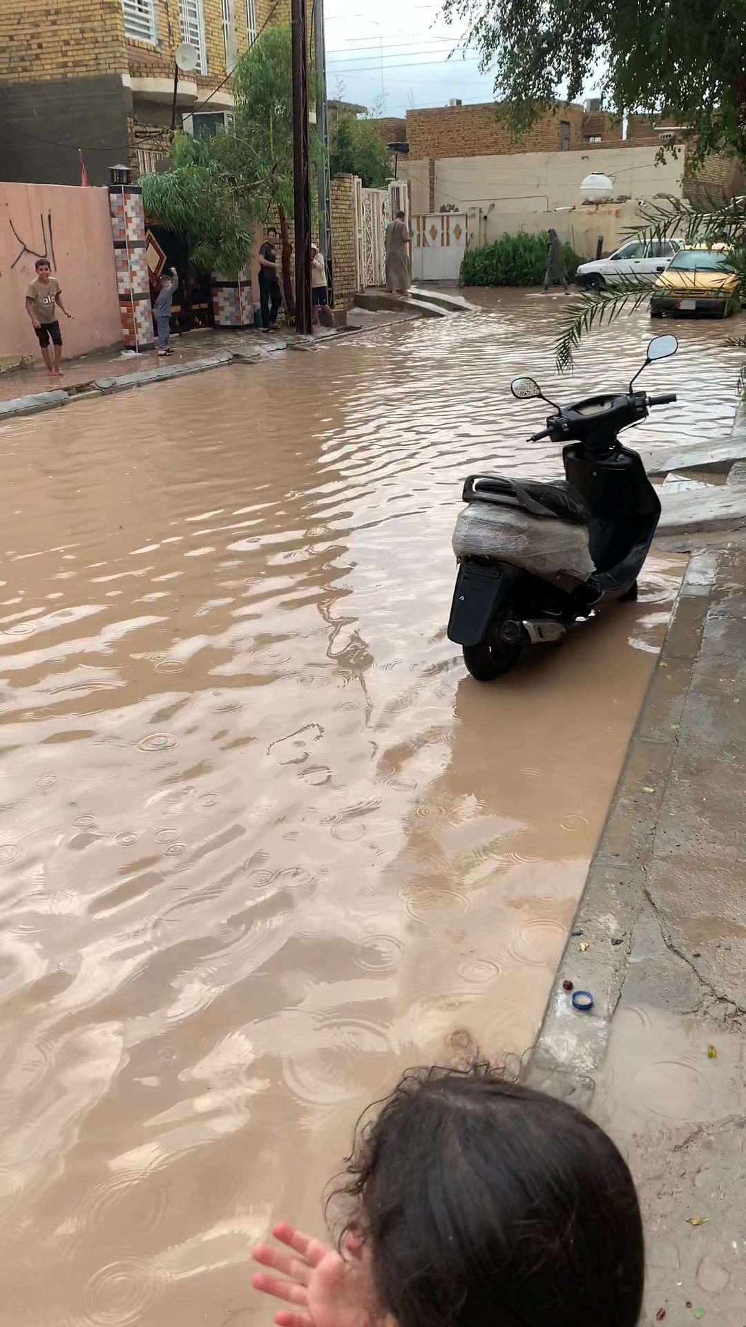 @أحمد أبو علي