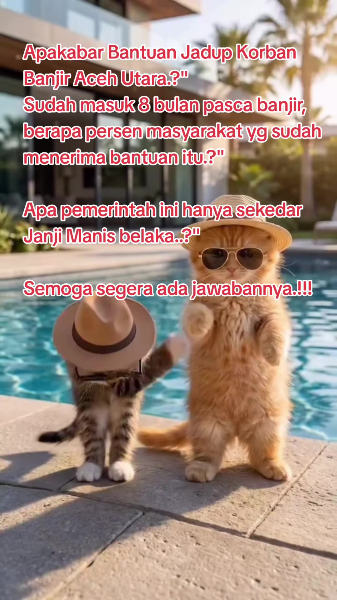 @ᴹᵃˡⁱᵏᴬᶜᵉʰ★࿐