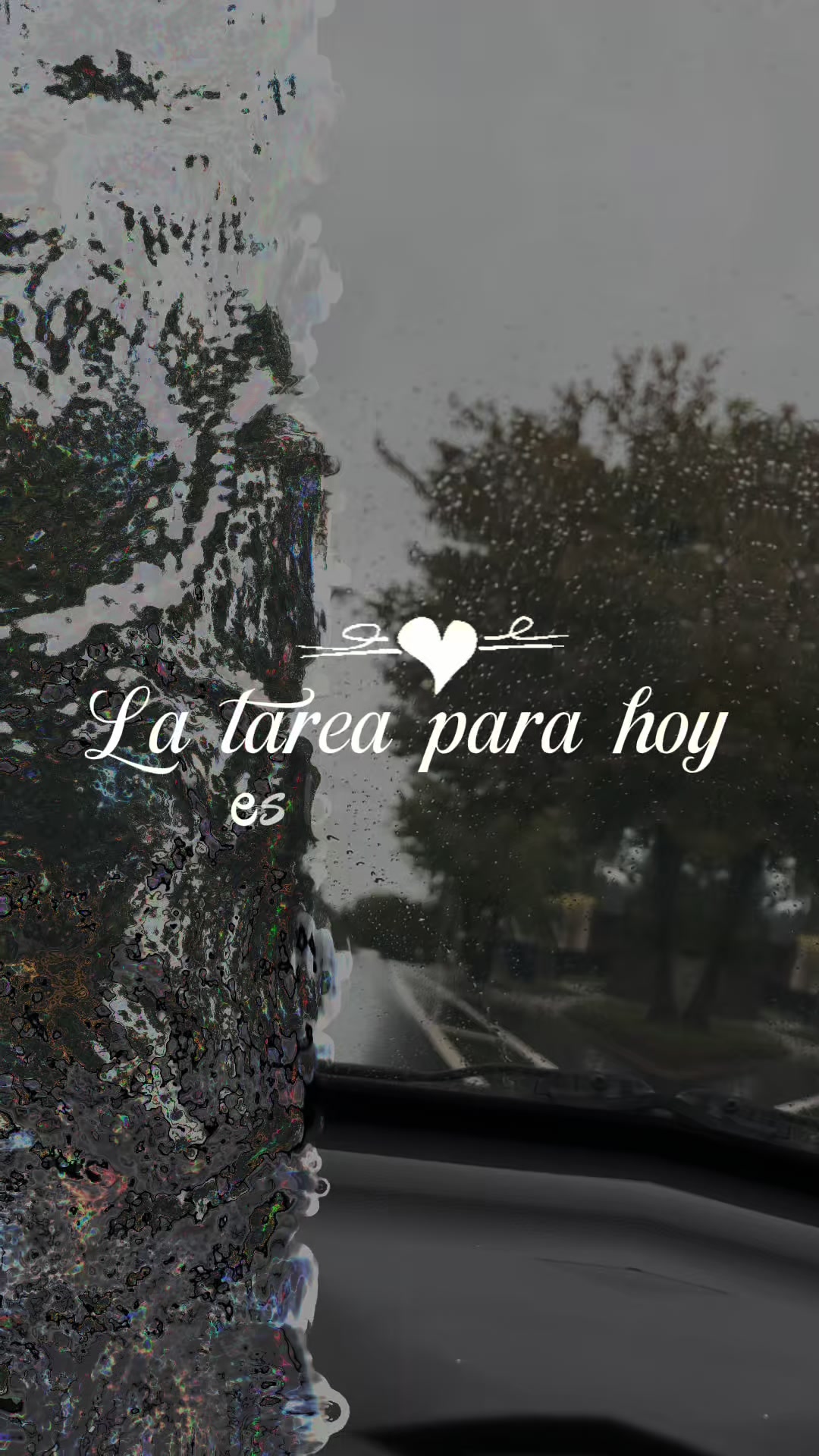 @🌊Mildia🌙