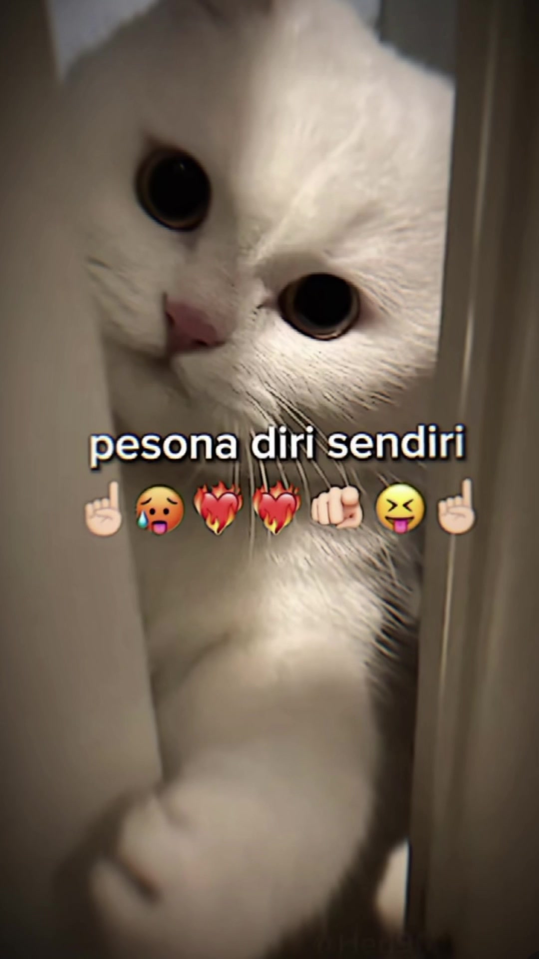 @ikbalskydder02