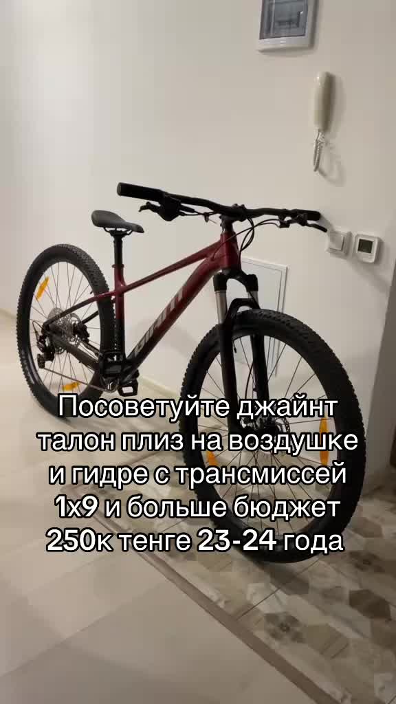@griffithsokolov
