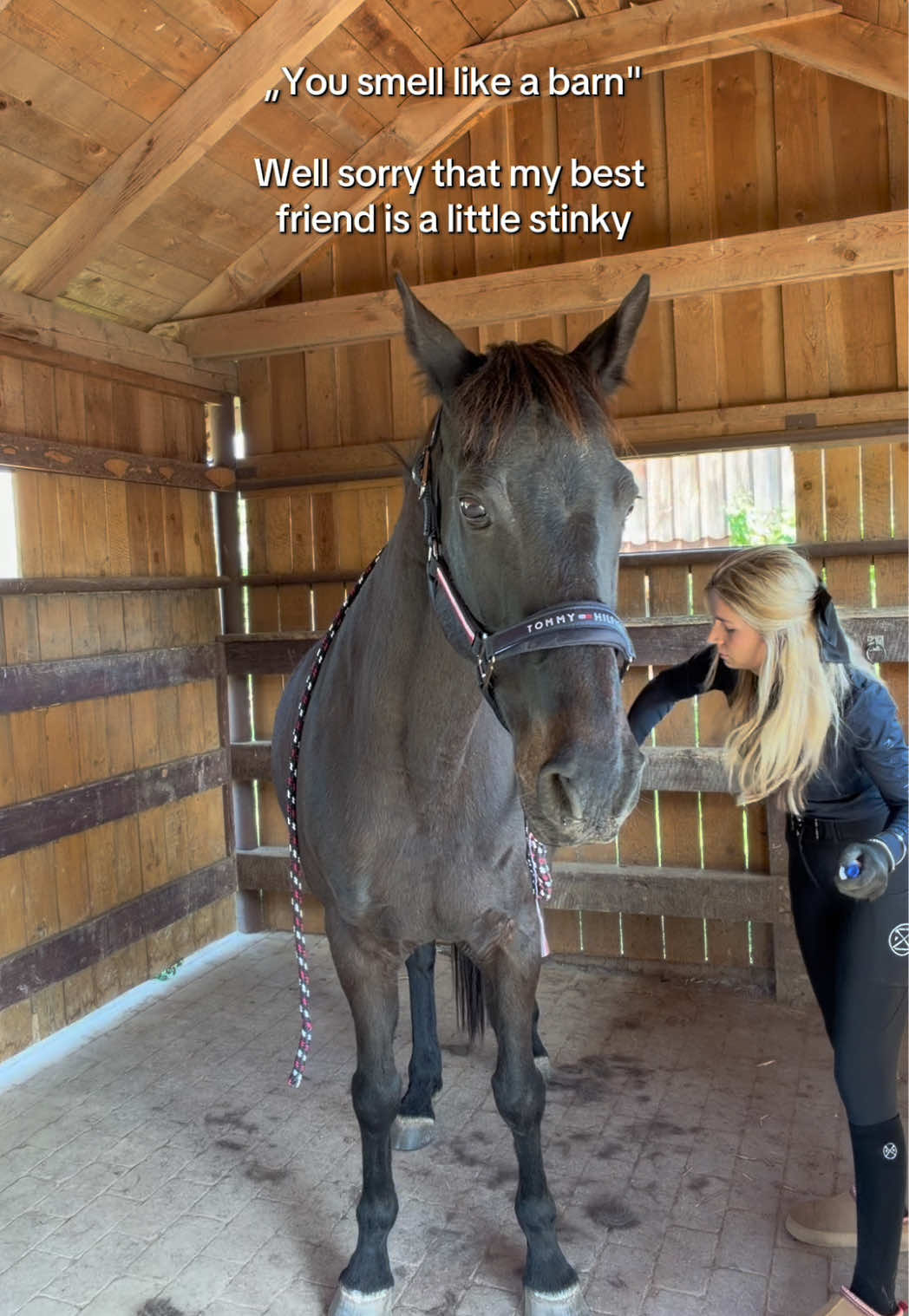@Free Ride Equestrian
