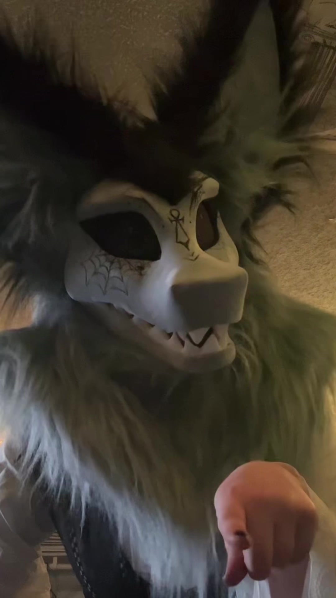 @Arin🦿Average Terzo Enjoyer