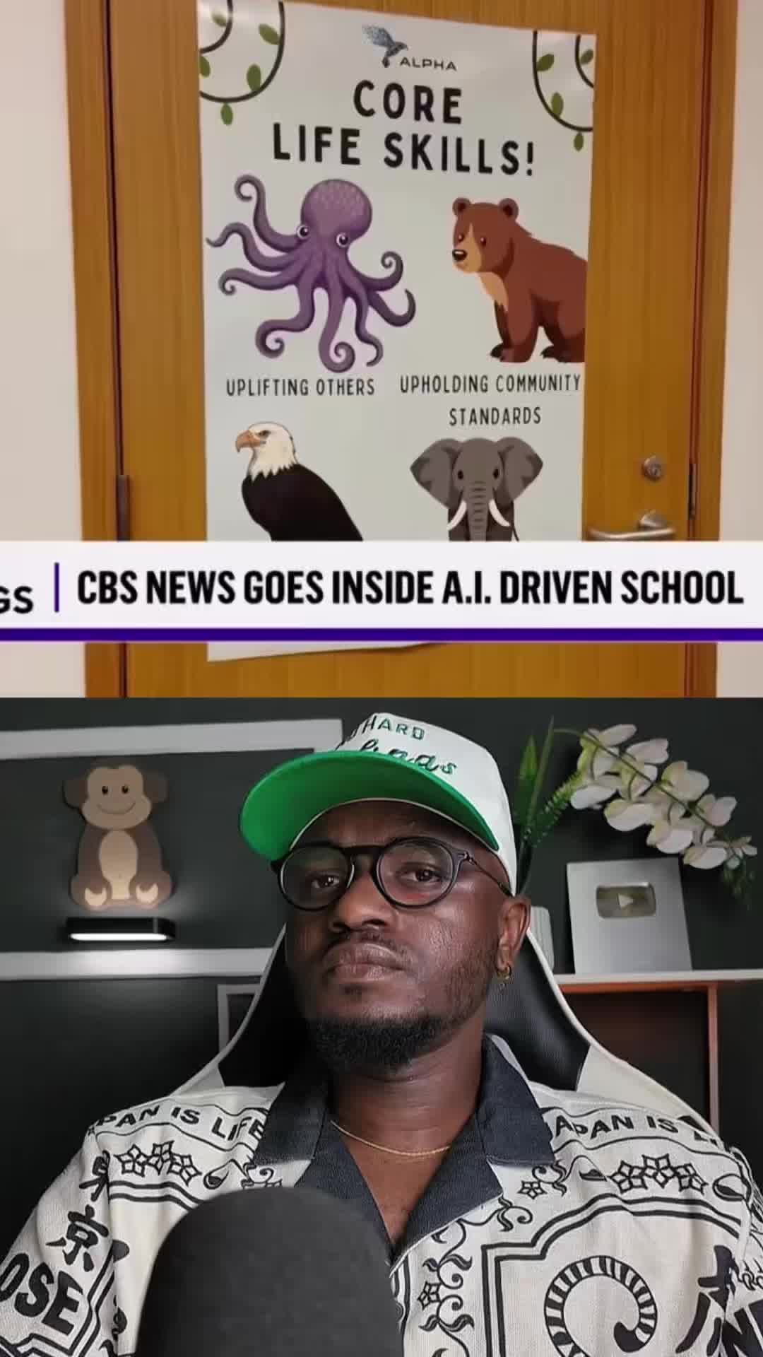 @provibee