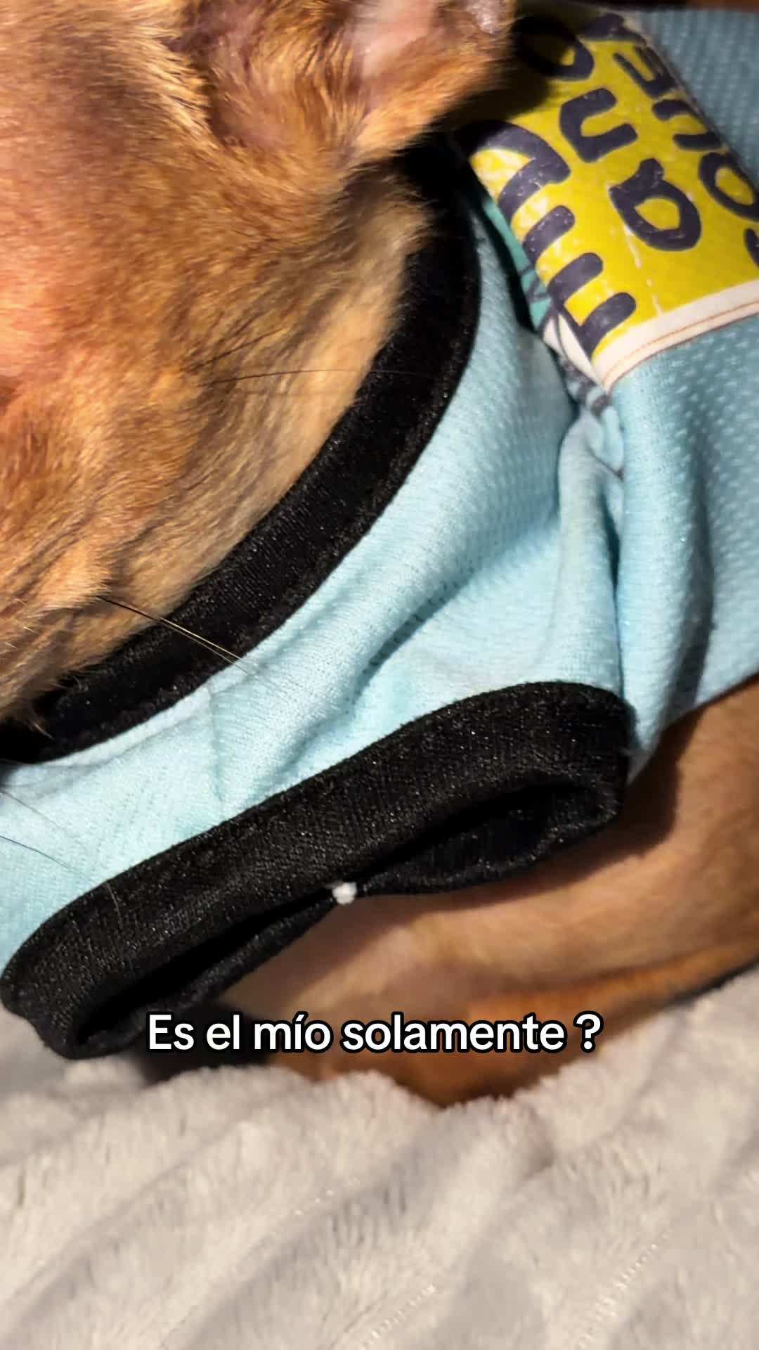 @Gloria Hernandez