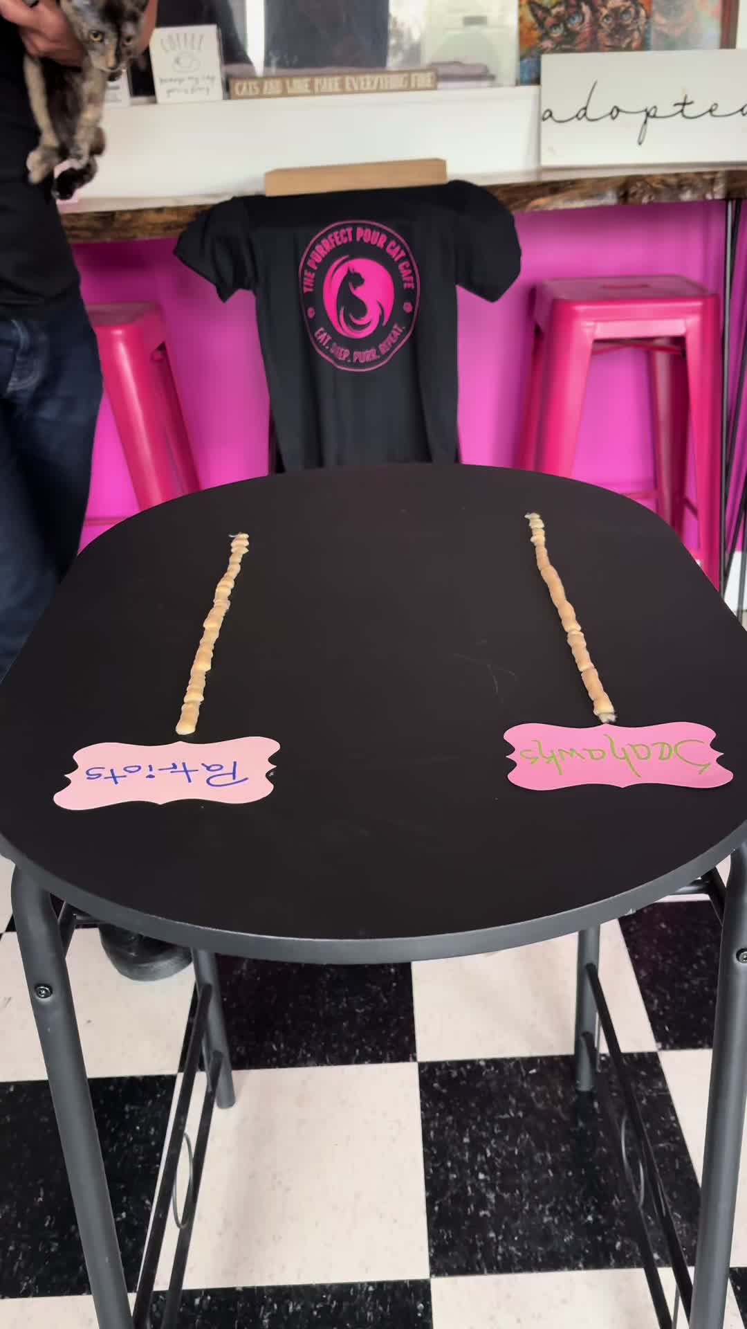 @The Purrfect Pour Cat Cafe
