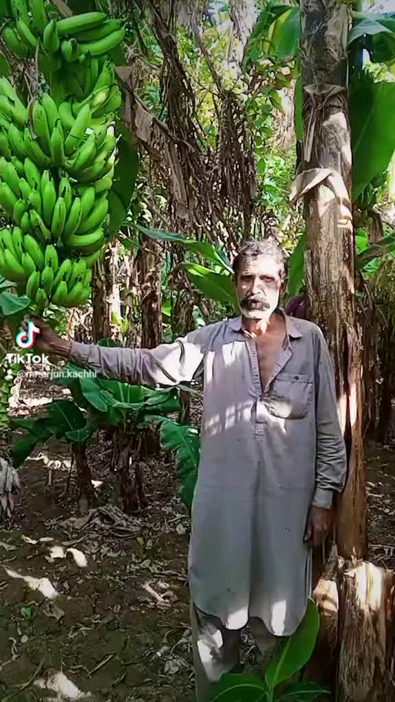 @Mr.Arjun kachhi