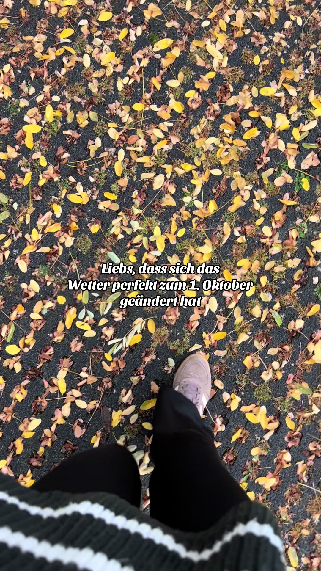 @Flora
