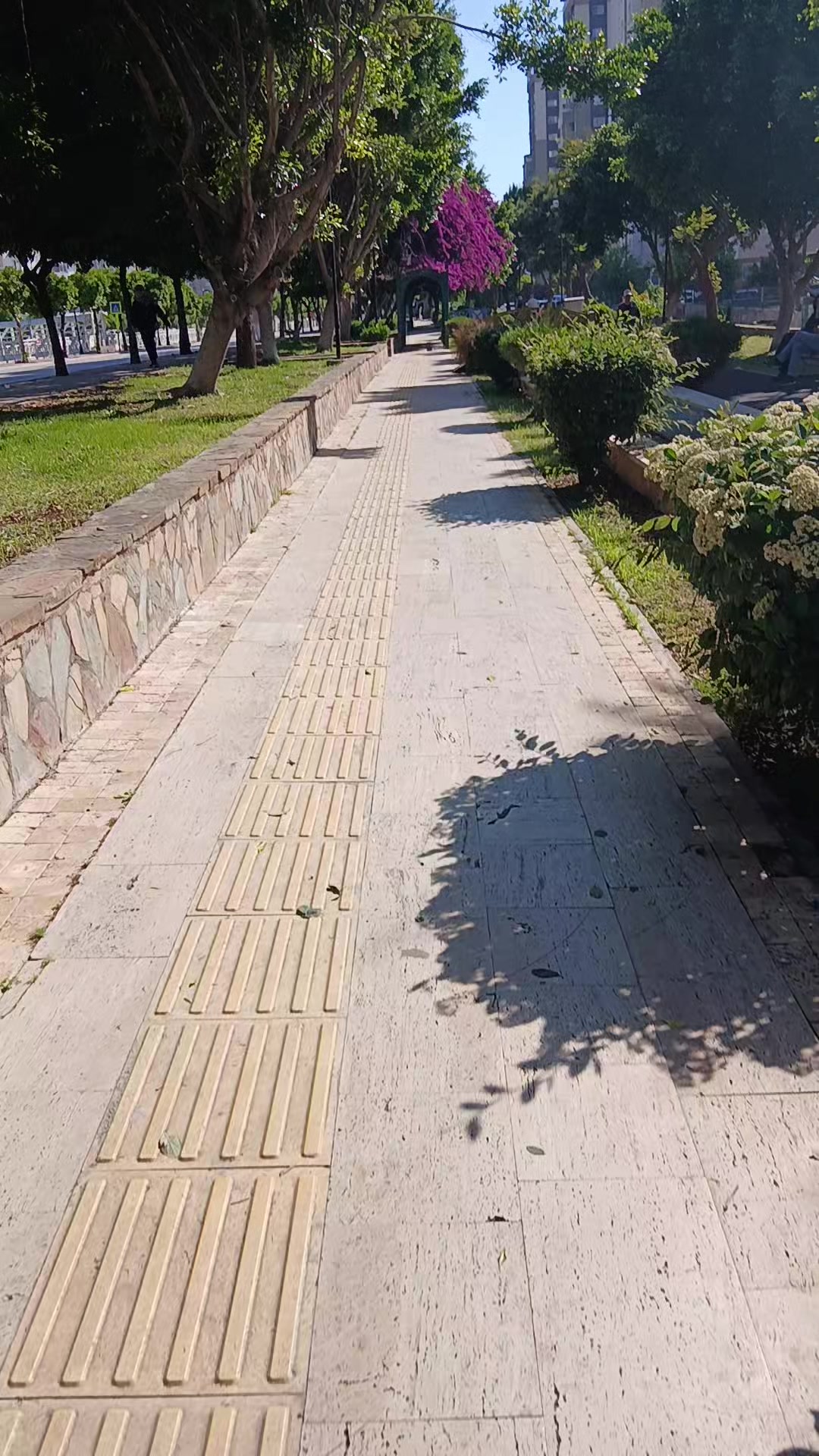 @Zeynep D&uuml;zdelen